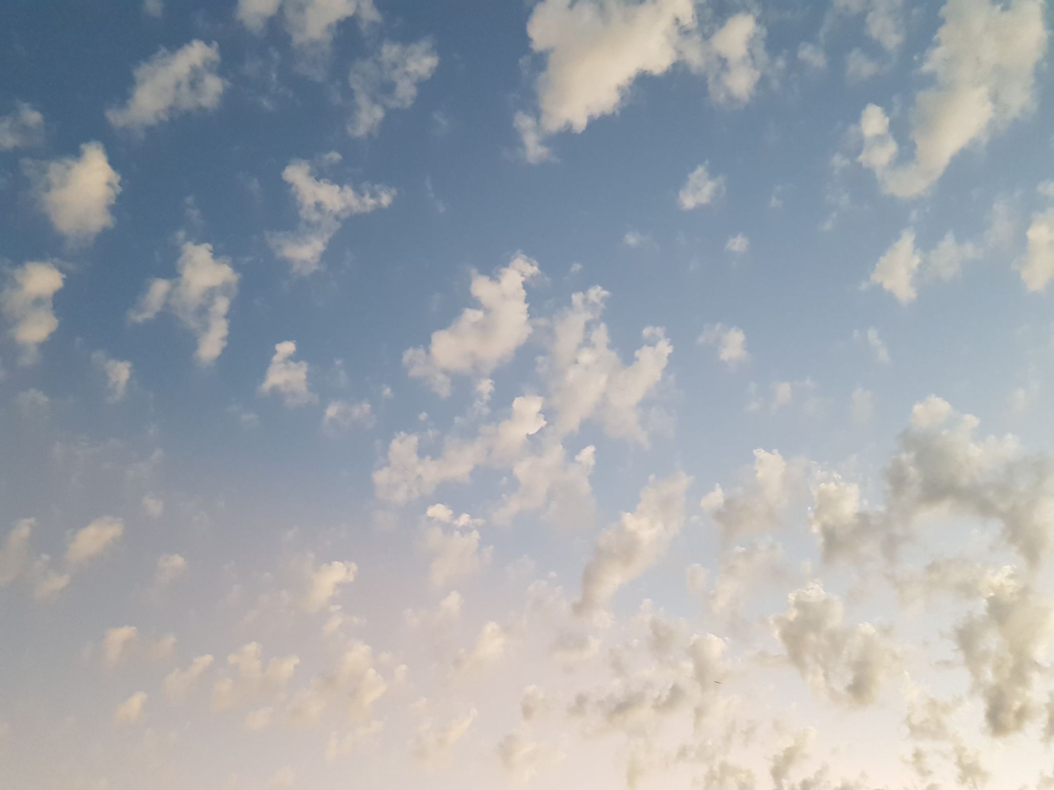 Blue sky with fluffy clouds