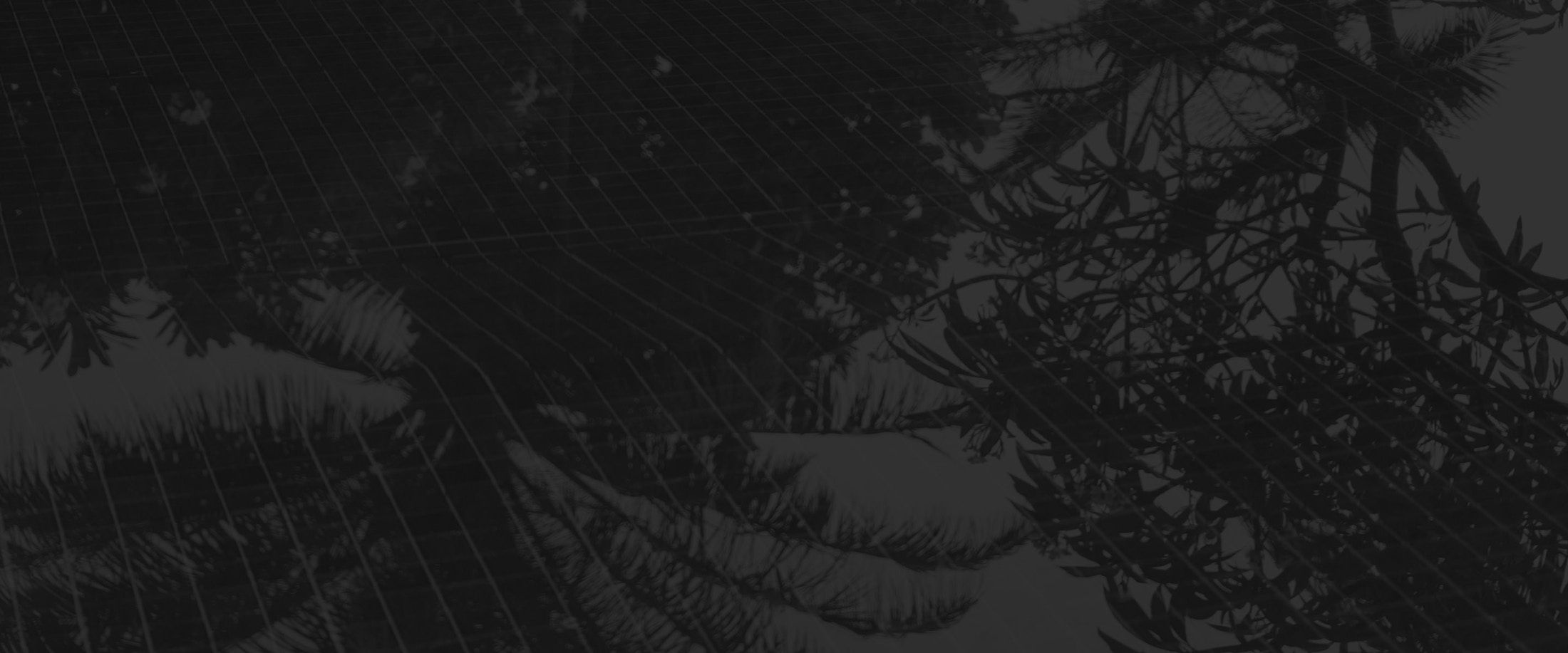 Banner media