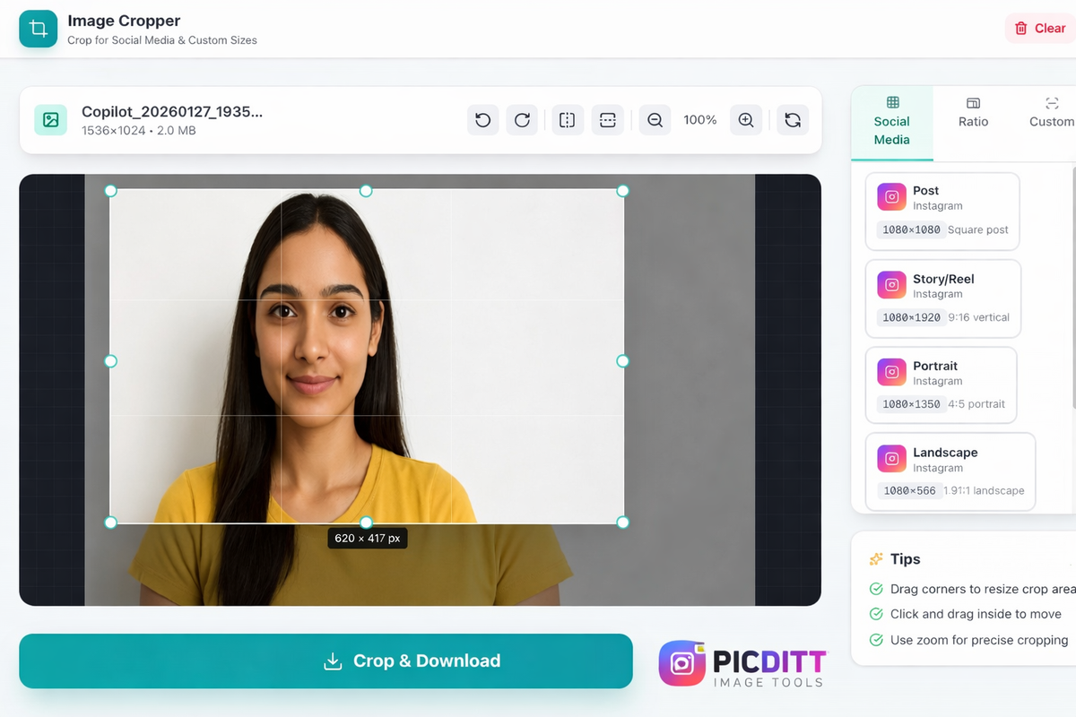 Picditt image cropper showing photo being cropped with drag handles aspect ratio lock and social media preset selected with live preview