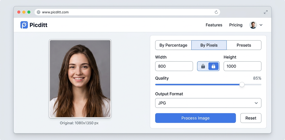 Picditt Zoom and Resize tool interface showing percentage, pixel, and preset resizing options with aspect ratio lock and quality controls