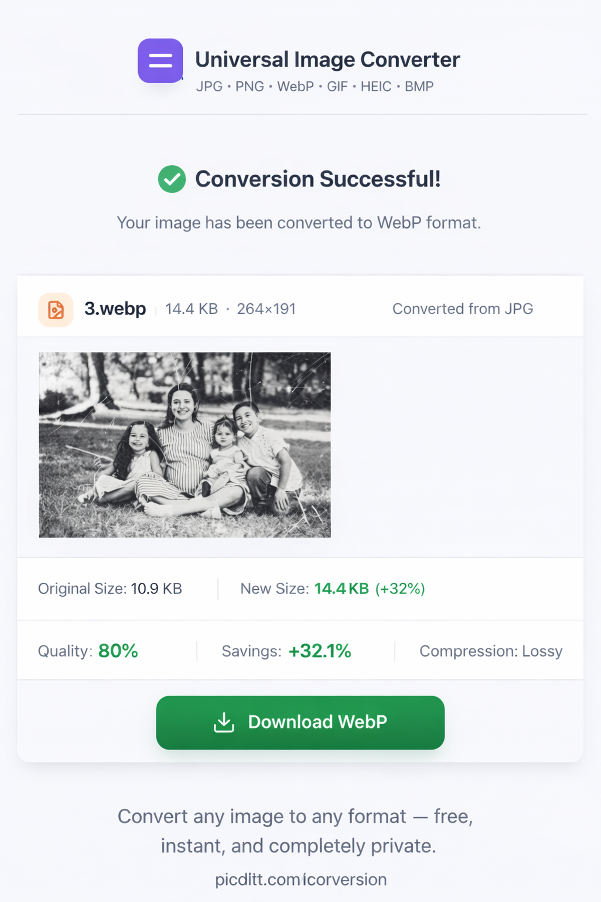 Convert images between any format for free with PicDitt universal image converter