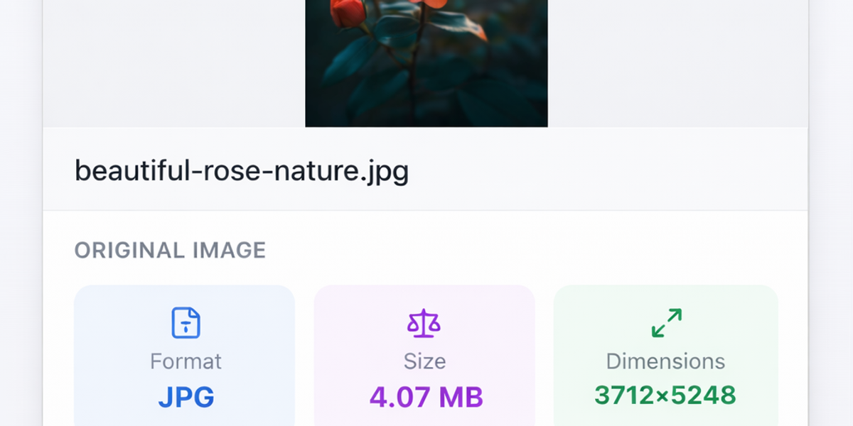 PicDitt free online image compressor tool showing file size reduction options