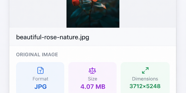 PicDitt free online image compressor tool showing file size reduction options
