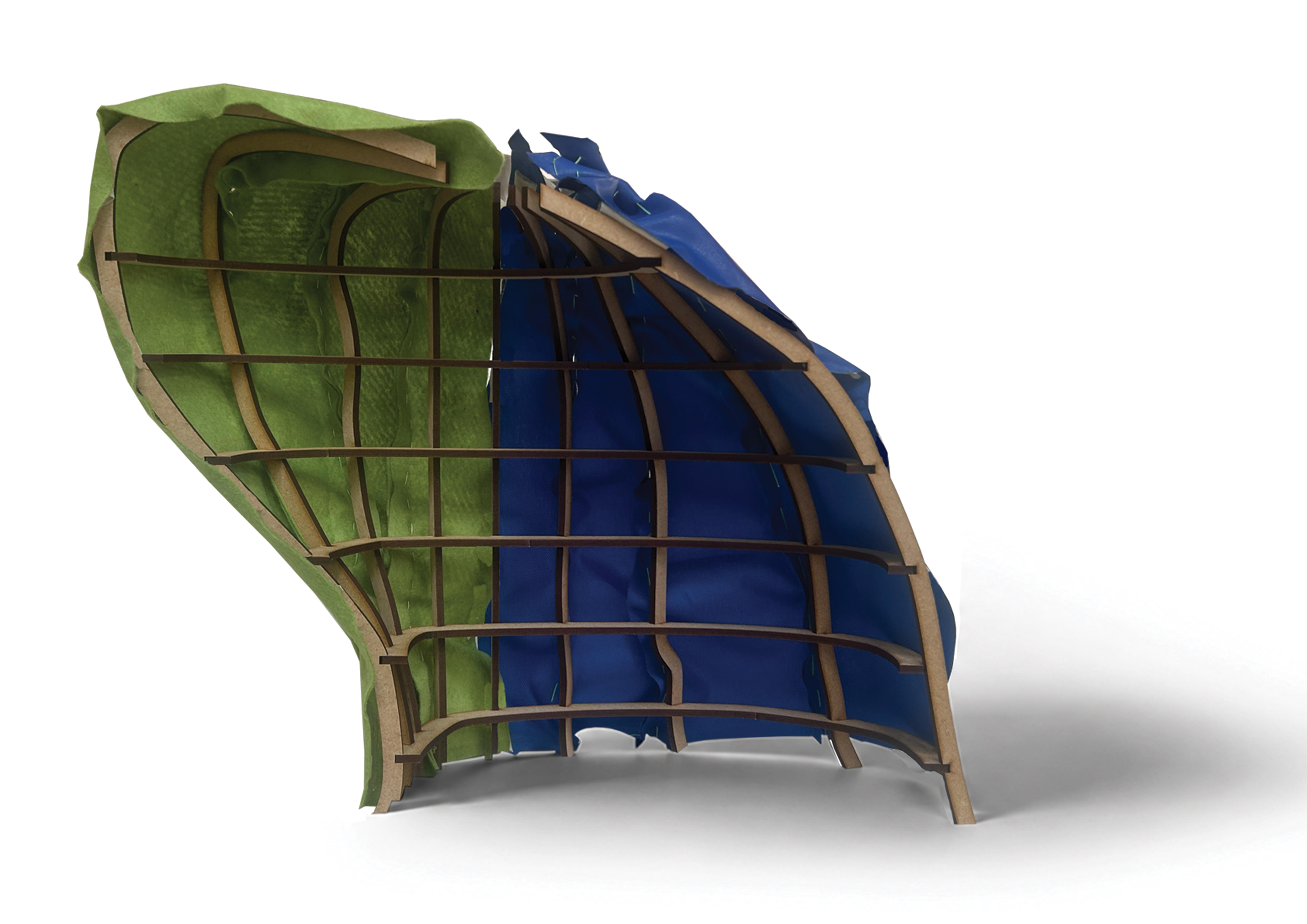 Study Model