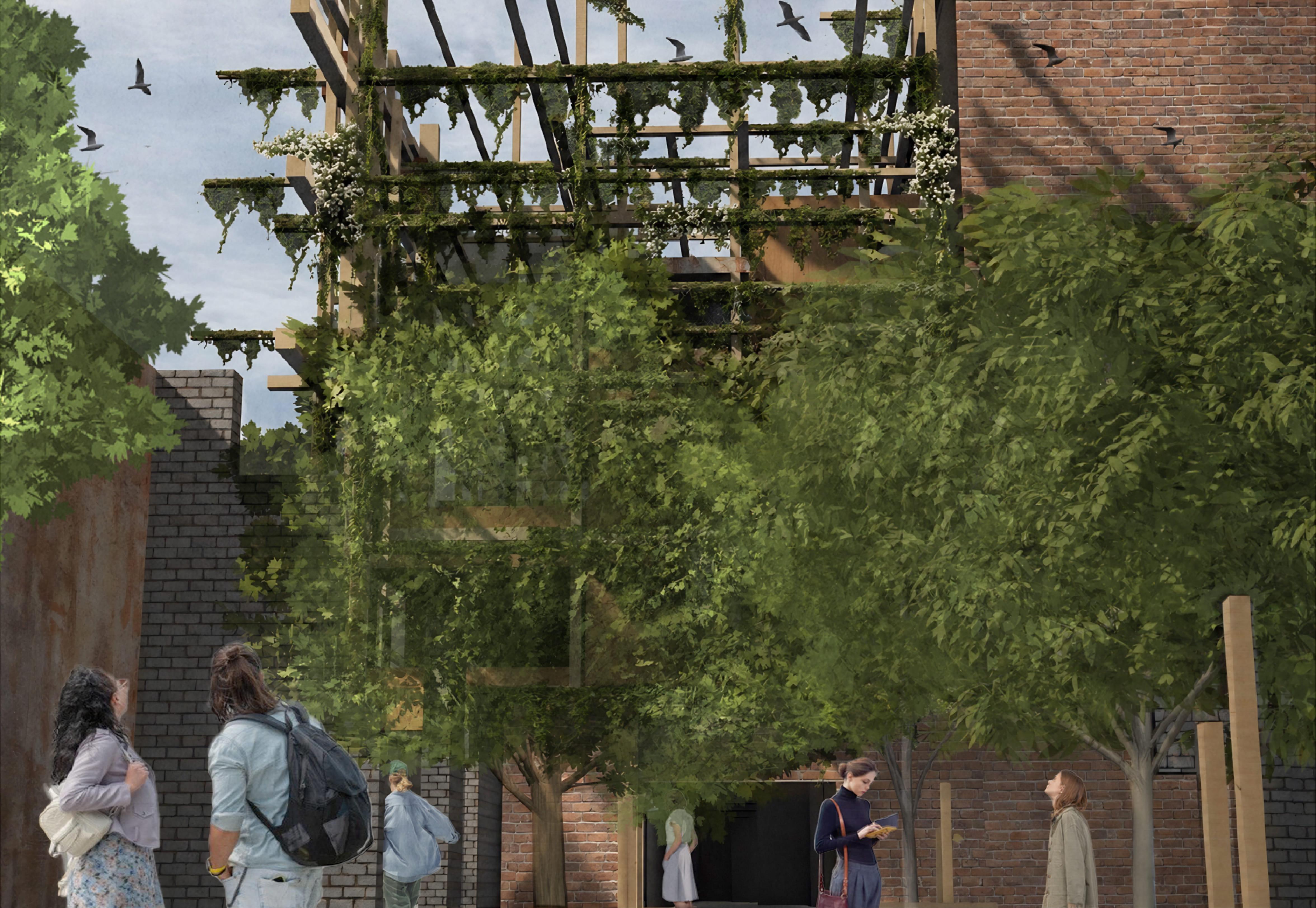 Community Garden View
