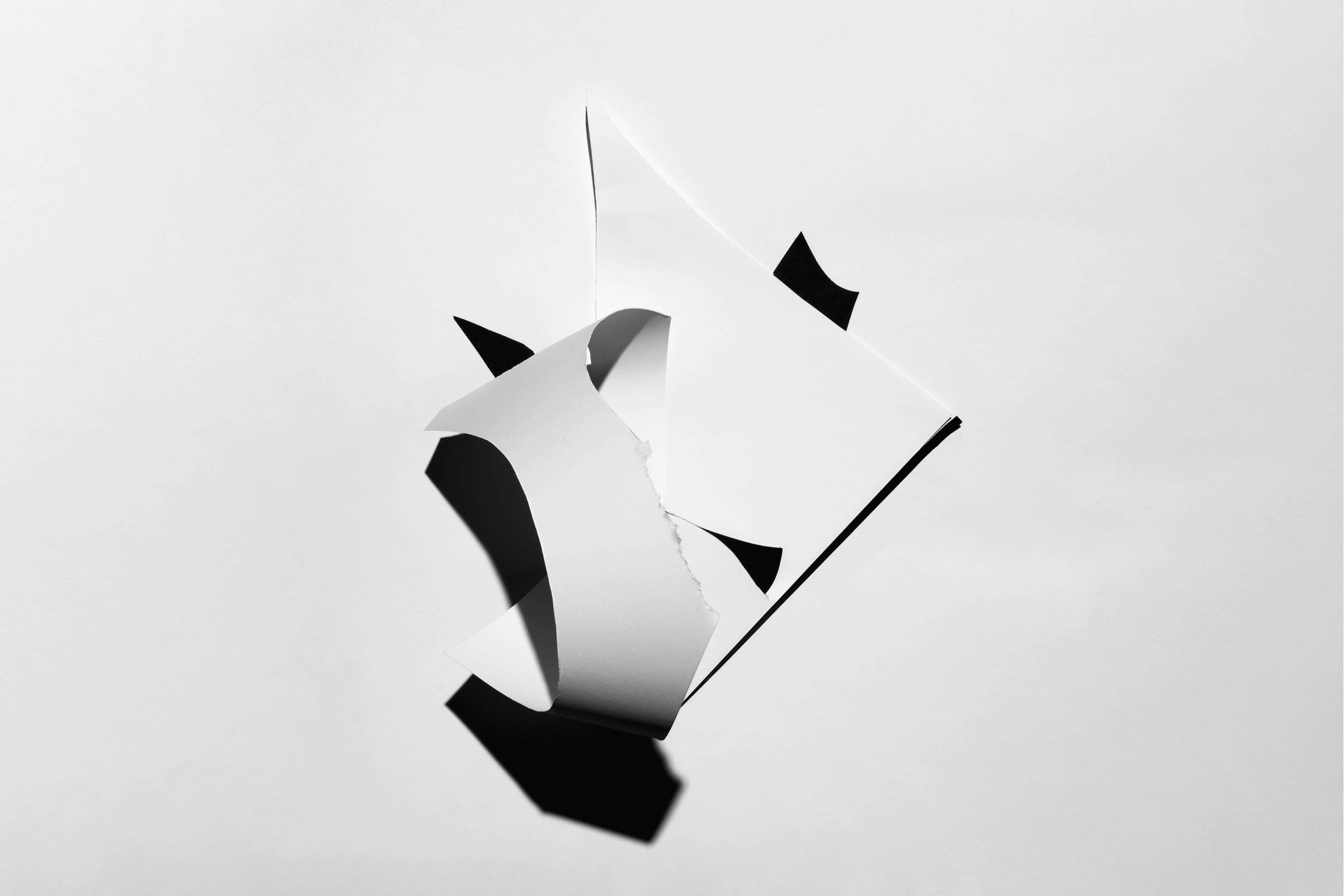 Abstract still life black and white paper sculpture