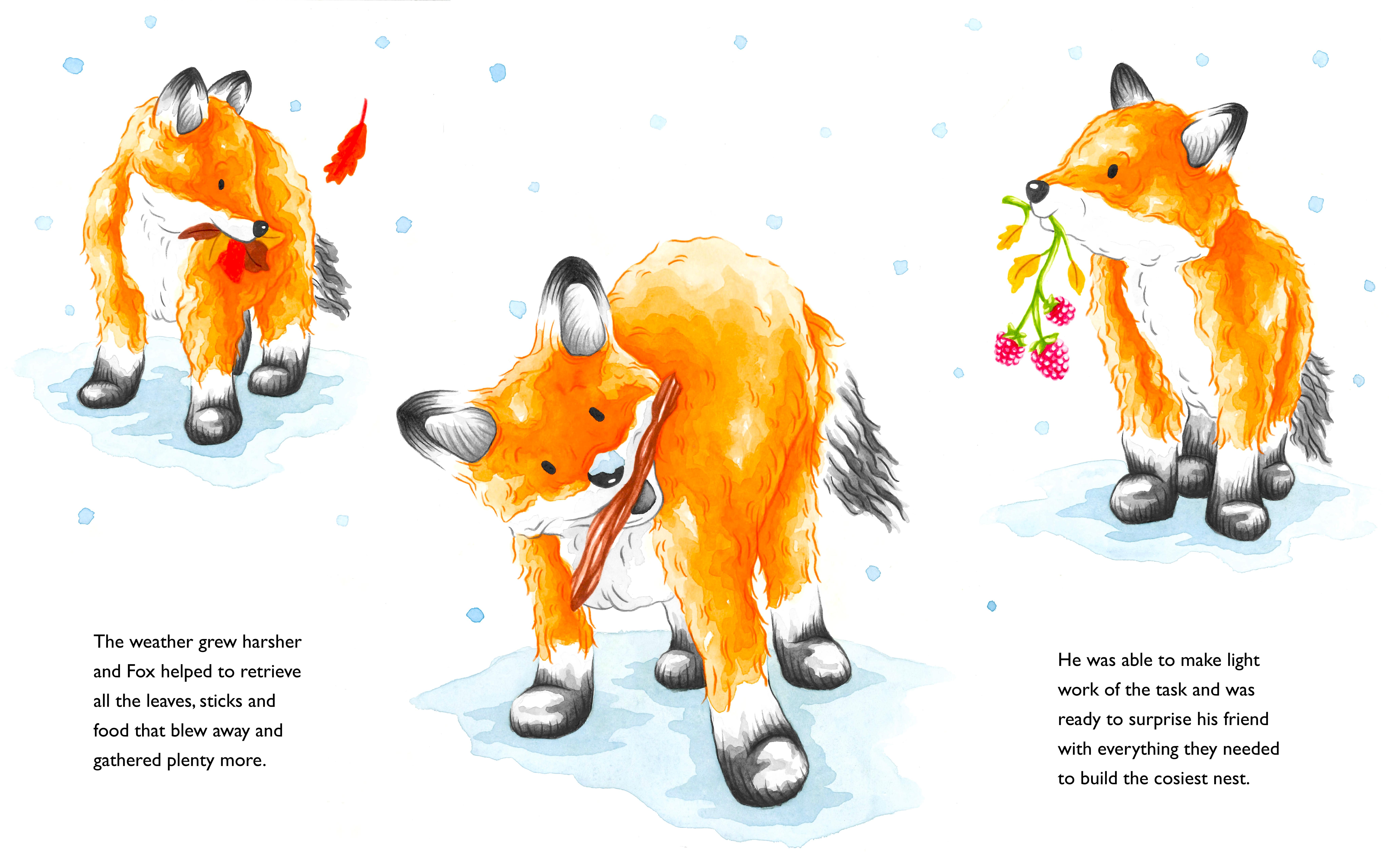 Fox collecting things to build a nest