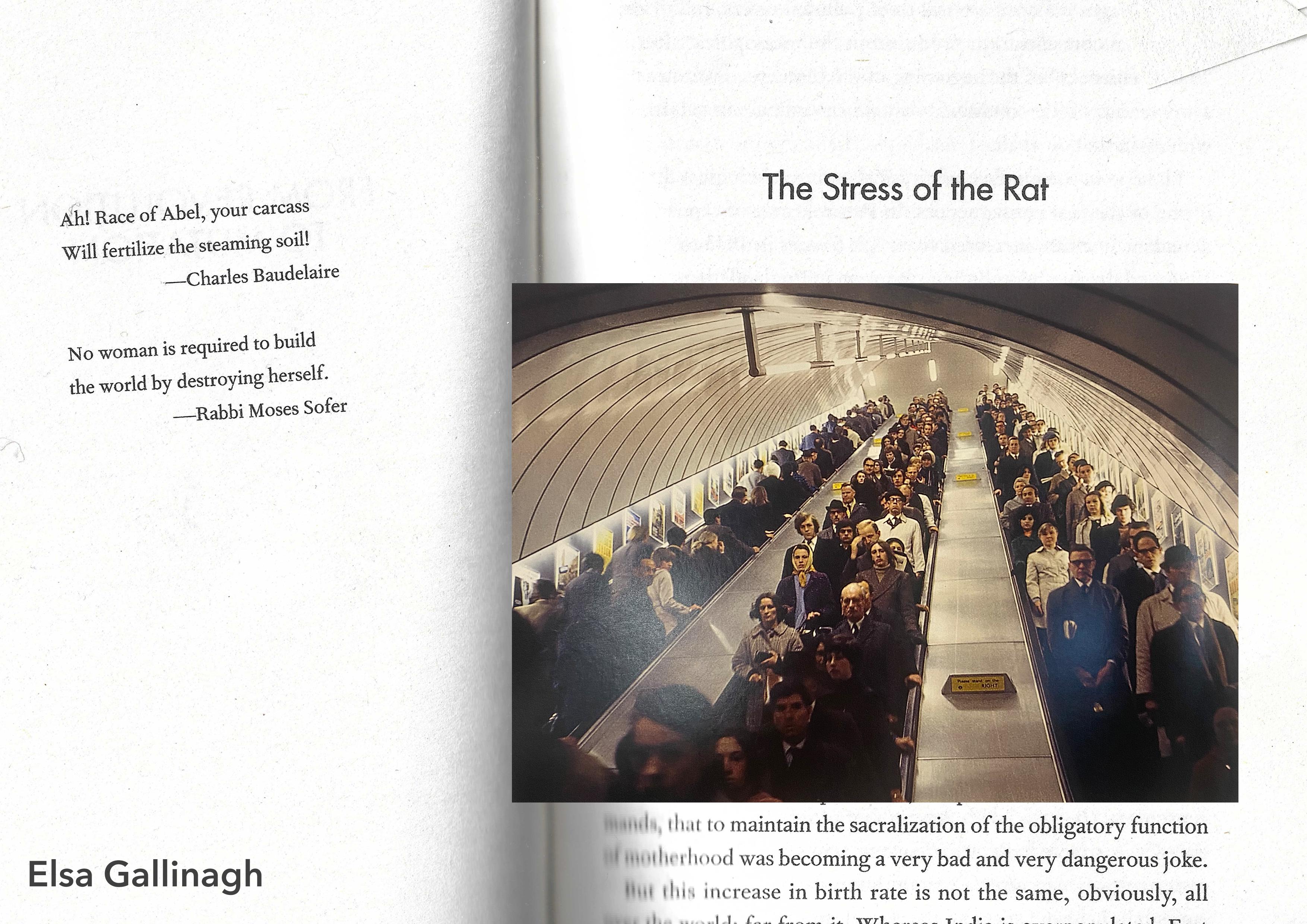 cluttered and crowded, the stress of the rat focuses on the rhythm of the rat race