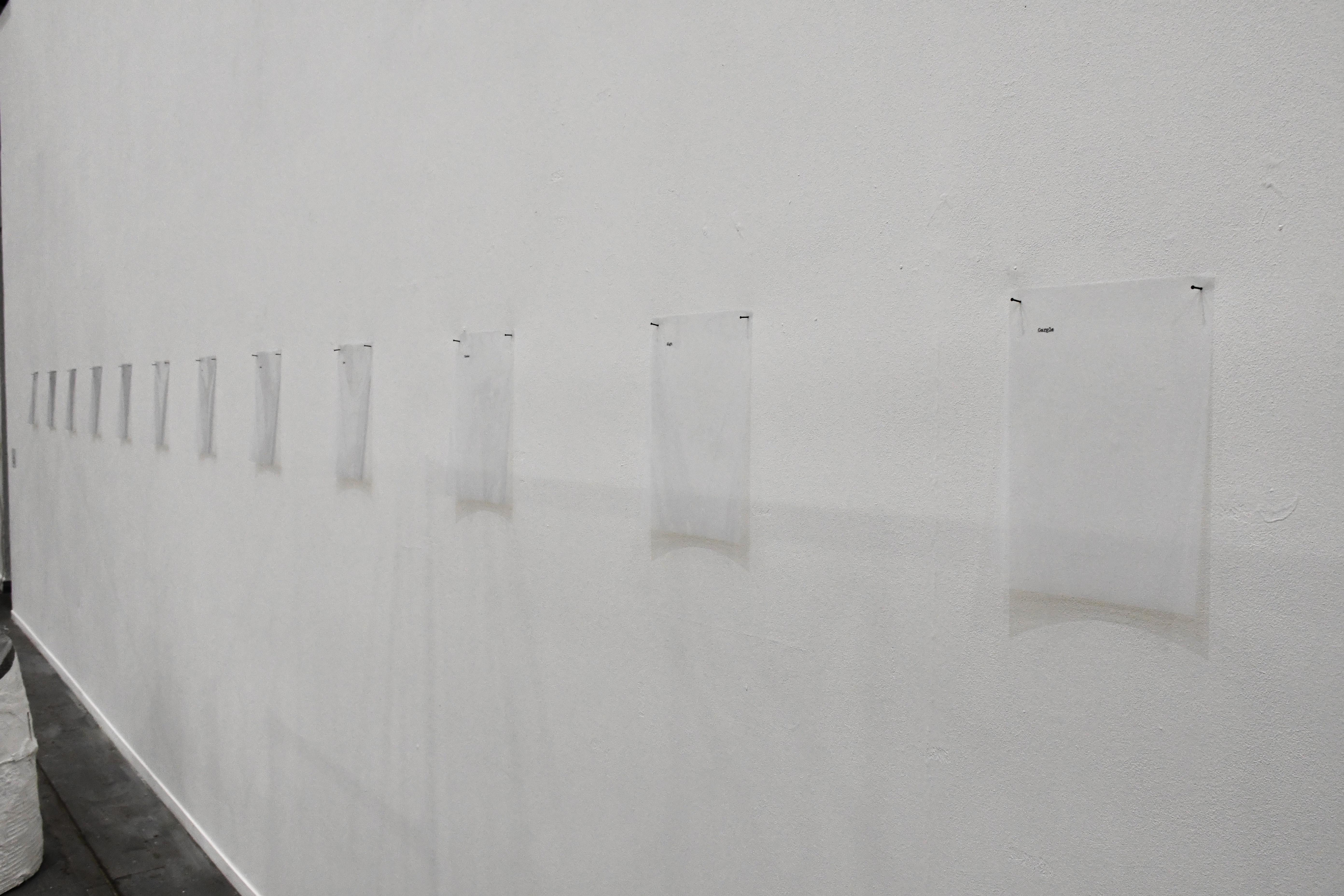 Clear, 2026, Ambika P3, London. Text on acetate.