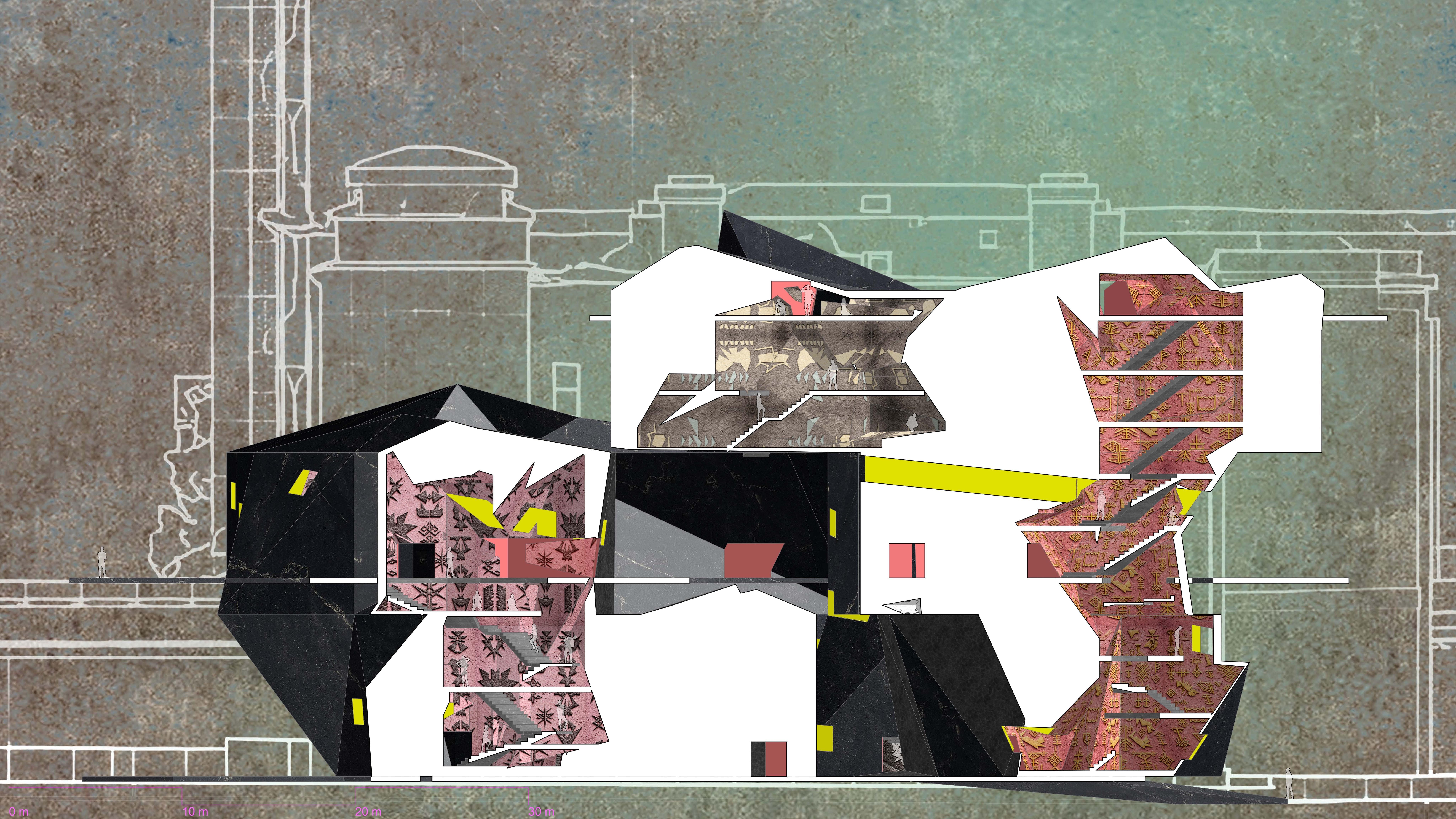 Longitudinal section revealing the sequence and relationship between the galleries