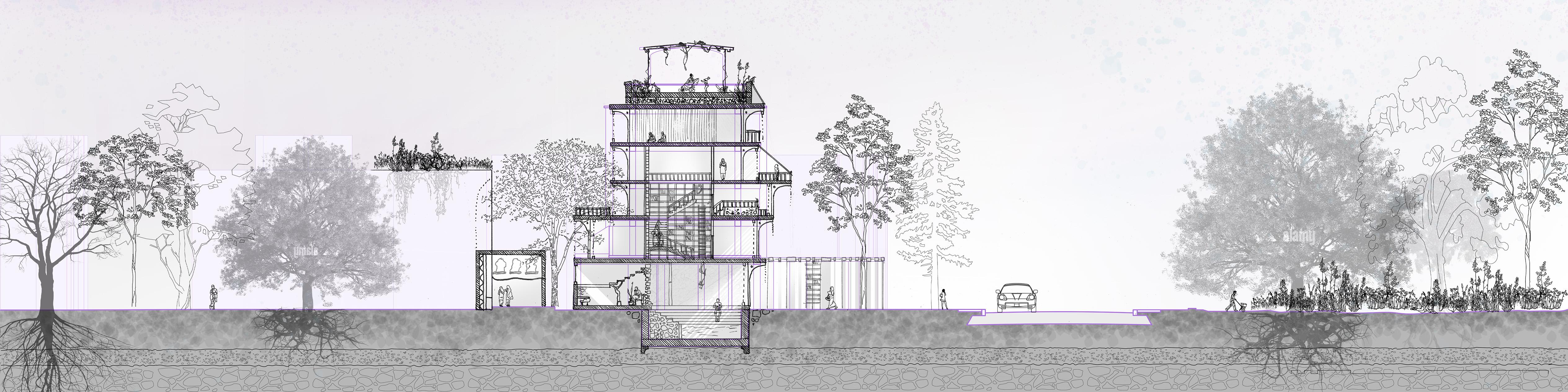 Cross-section