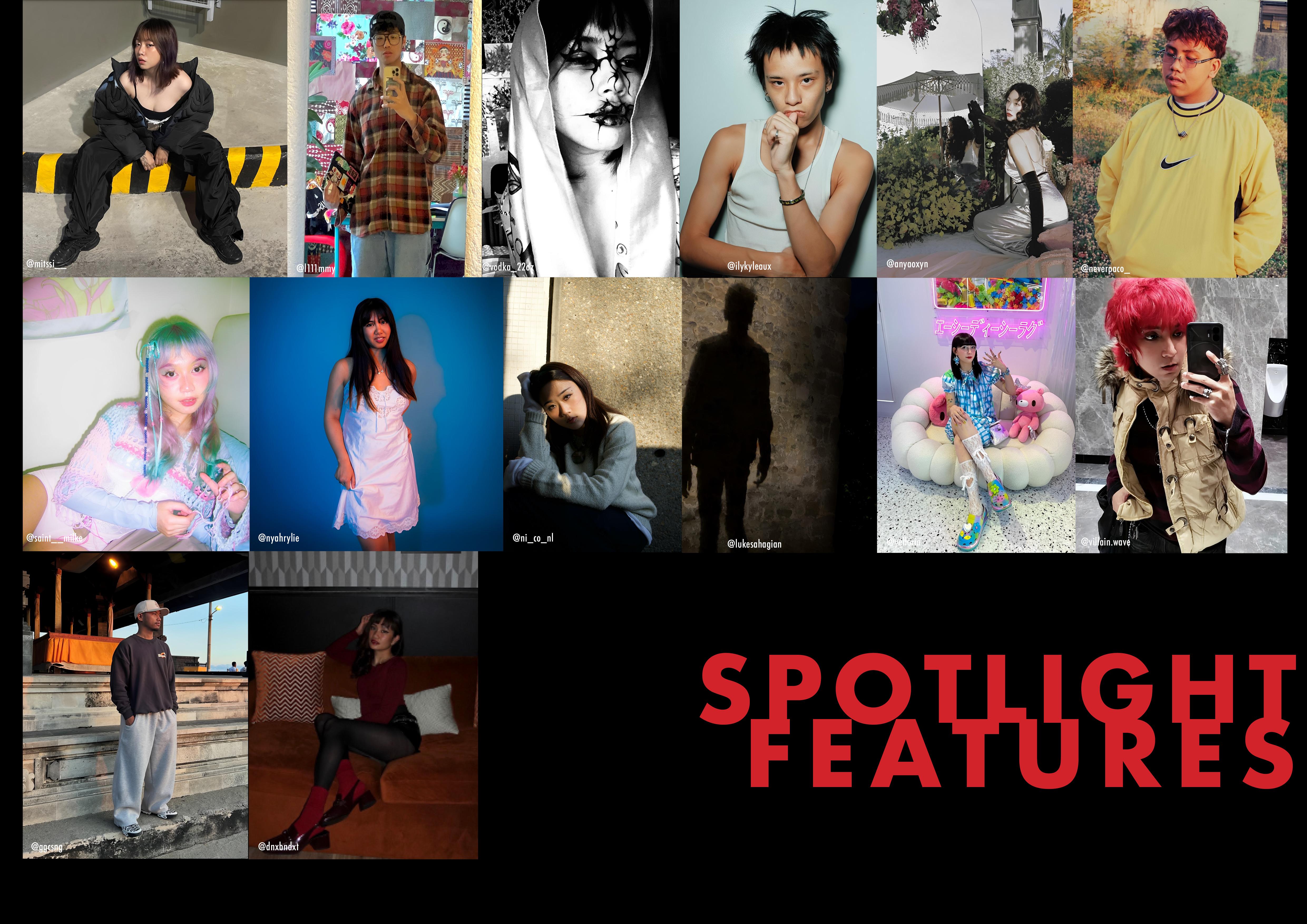 In Bloom Spotlight Features