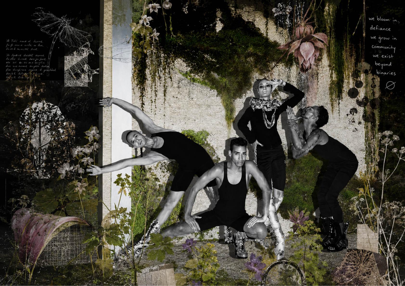 QUEER ECOLGY COLLAGE