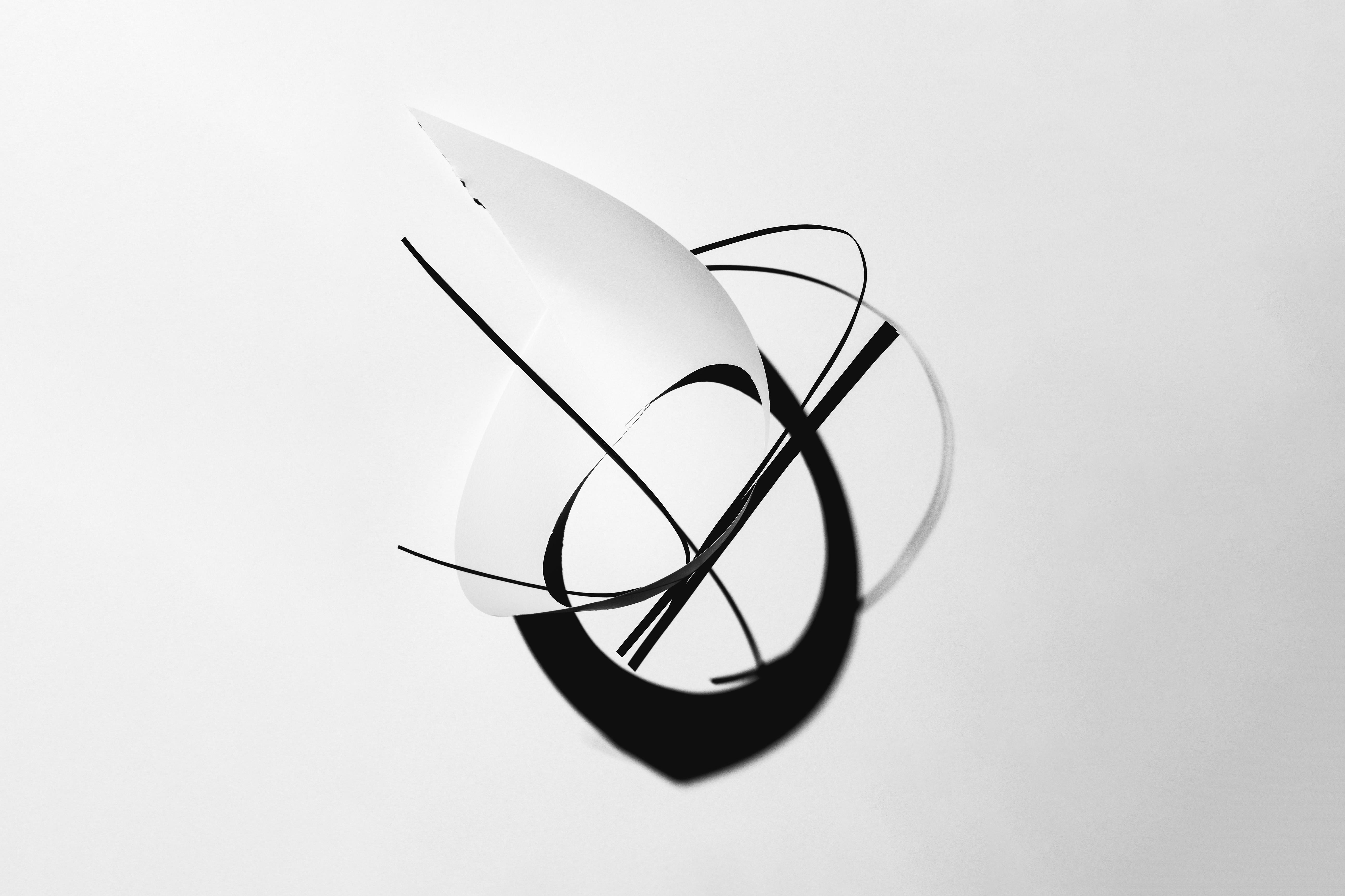 Abstract still life black and white paper sculpture