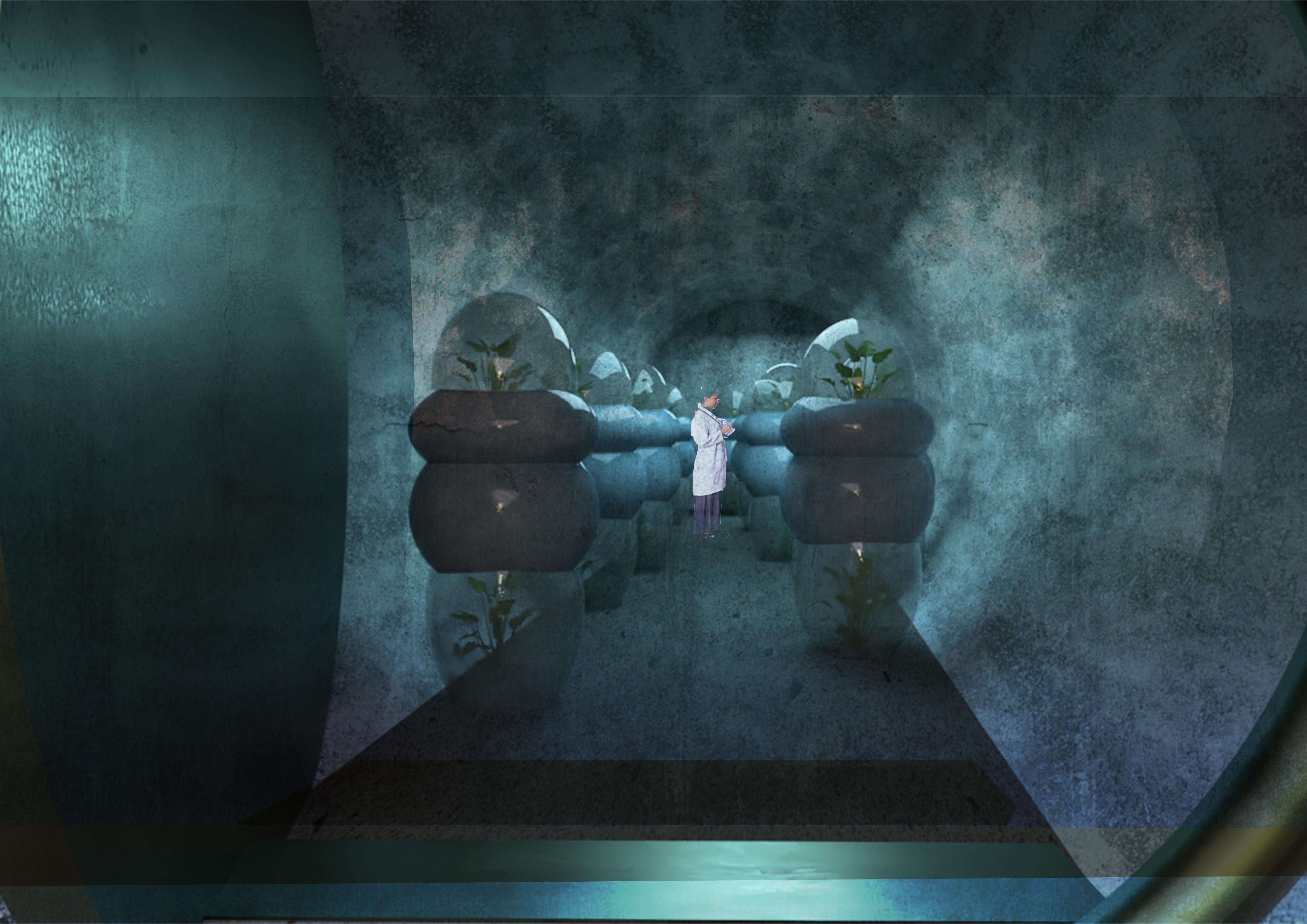 Cold Vault Area