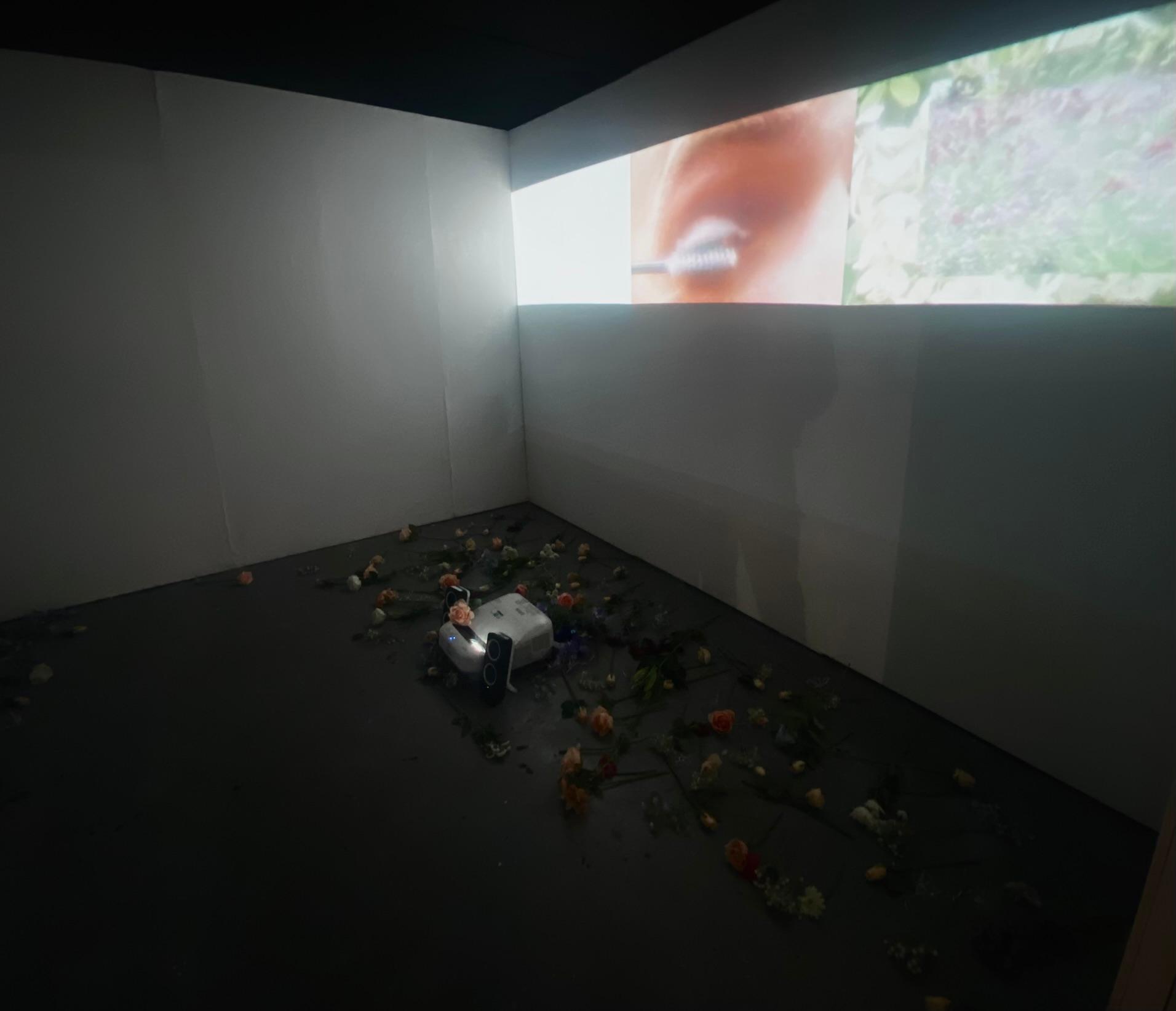 No Labels_Installation_View