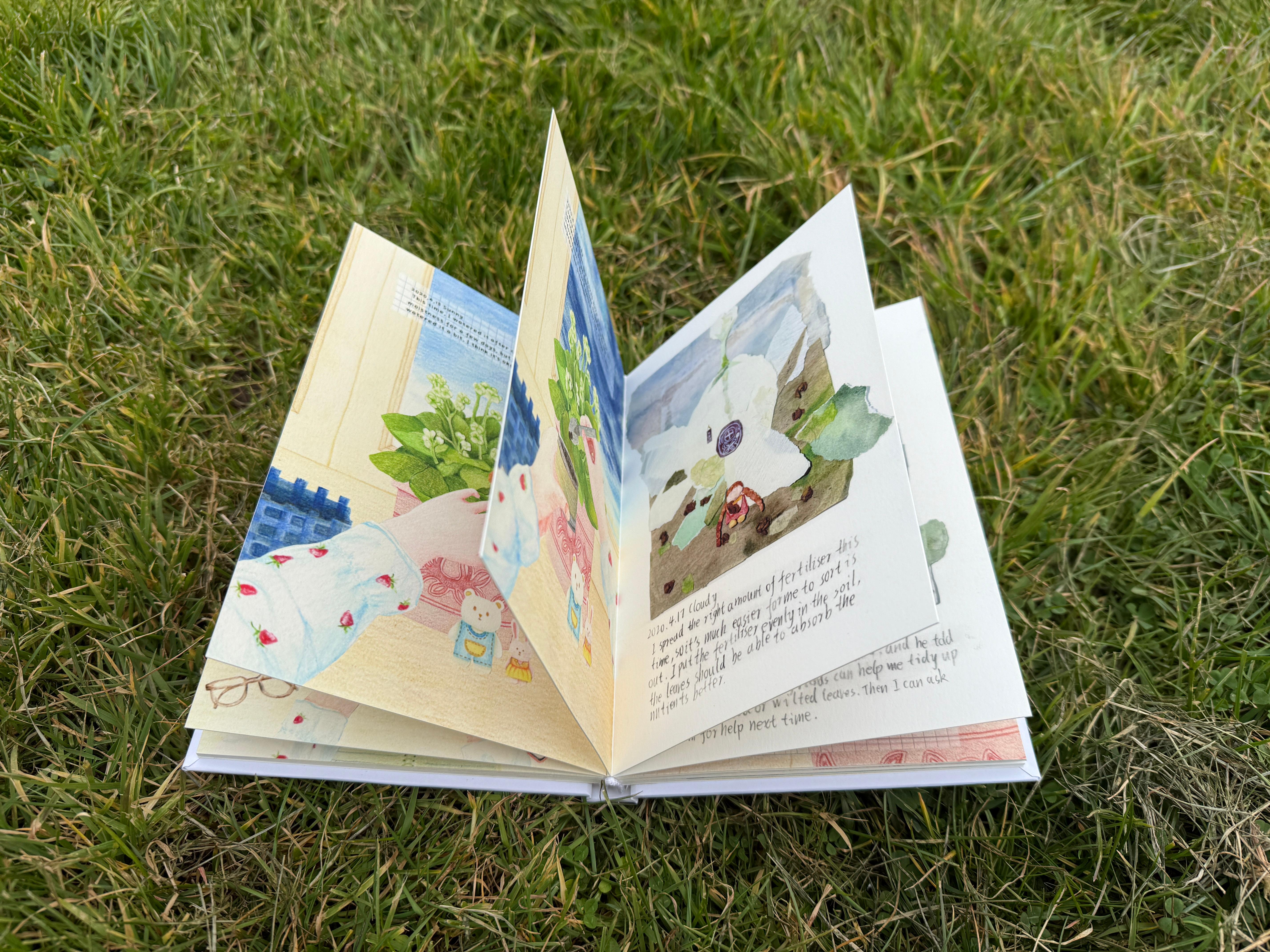 Book Picture