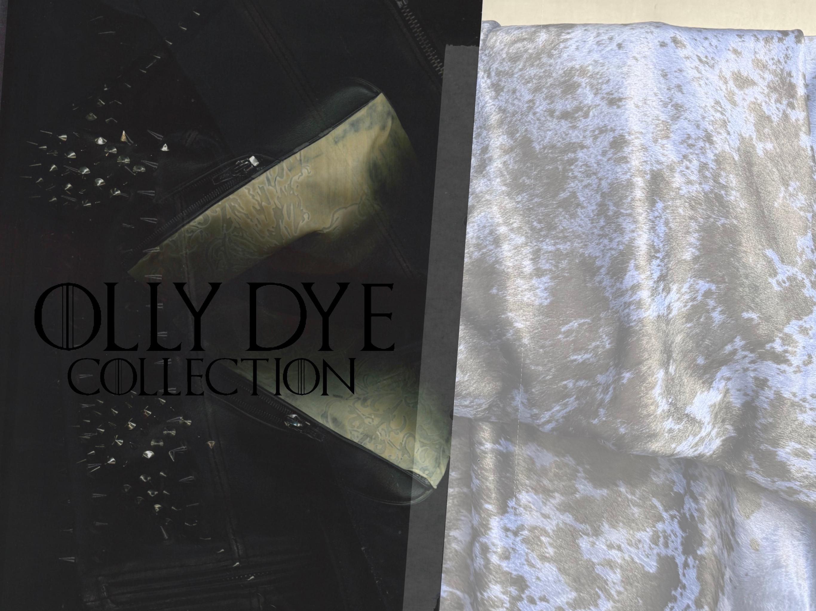 Olly dye collection portfolio 