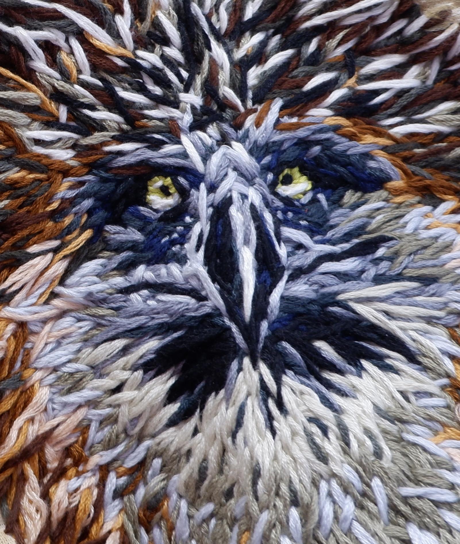Philippine eagle embroidery detail