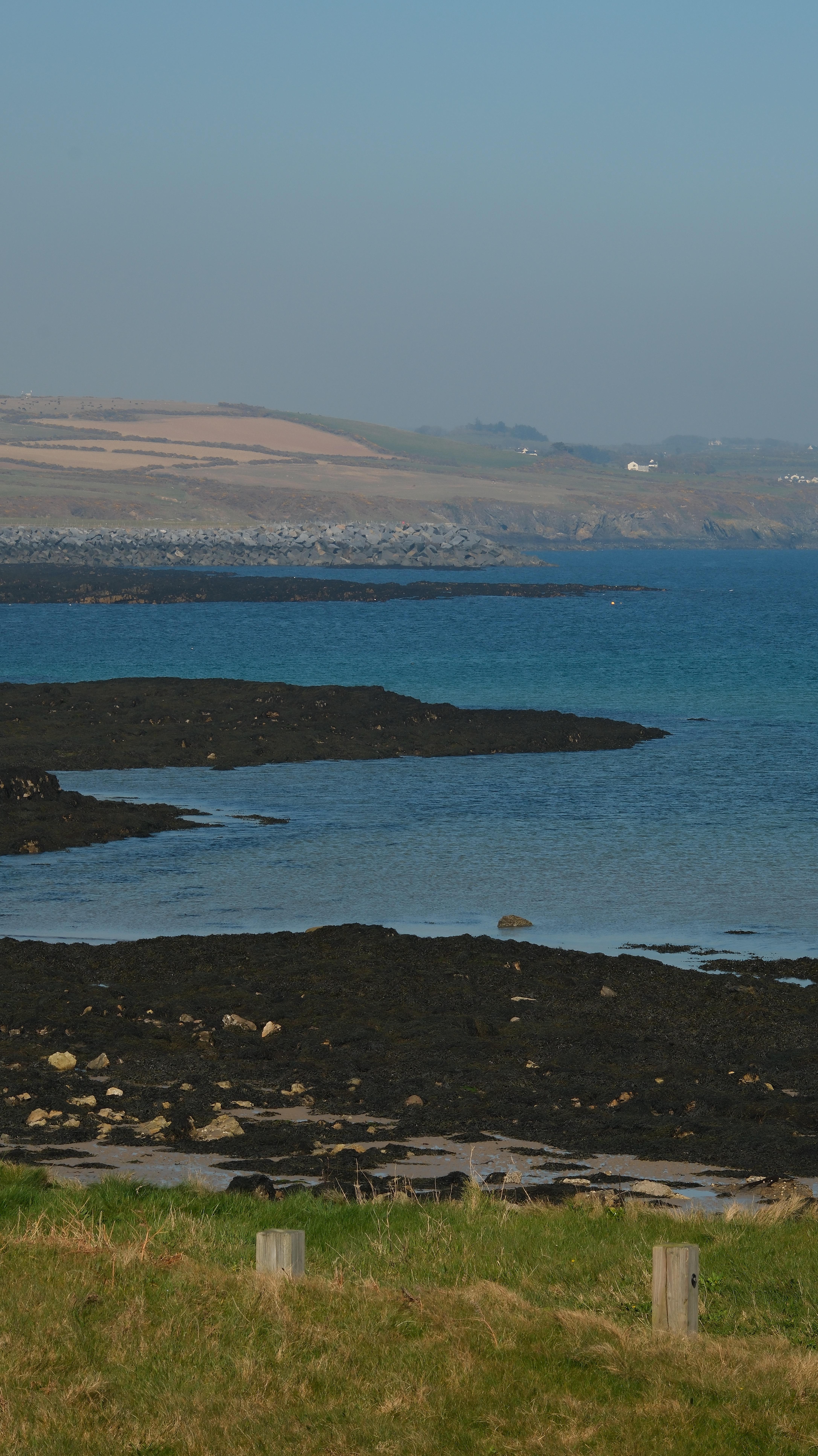 When the Sea turns Blue