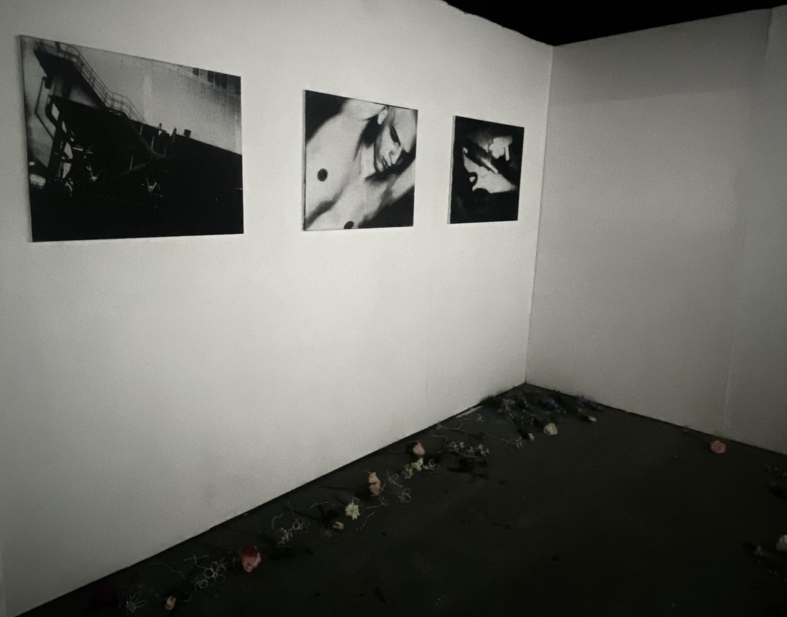 No Labels_Installation_View