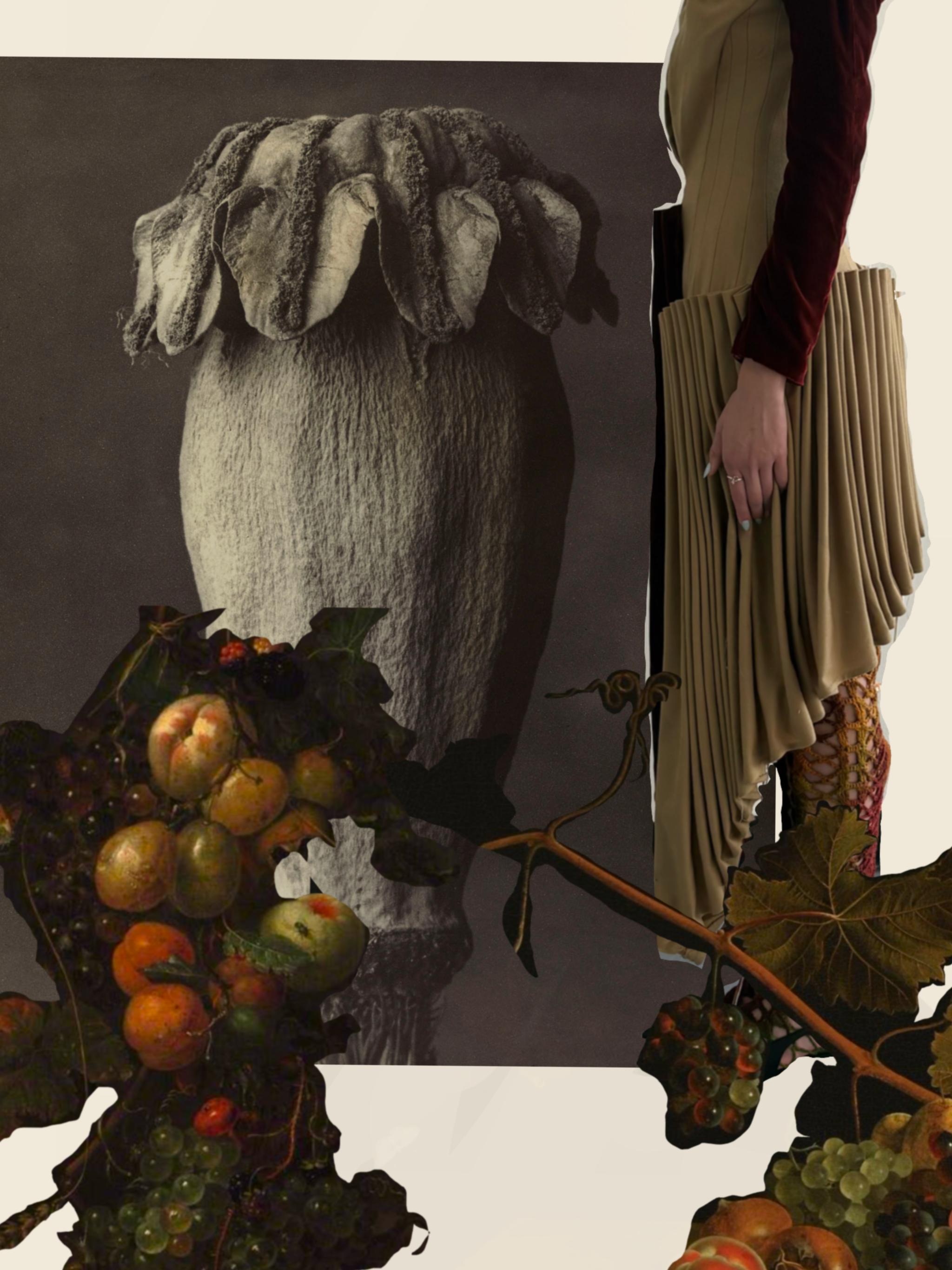 portfolio from collection