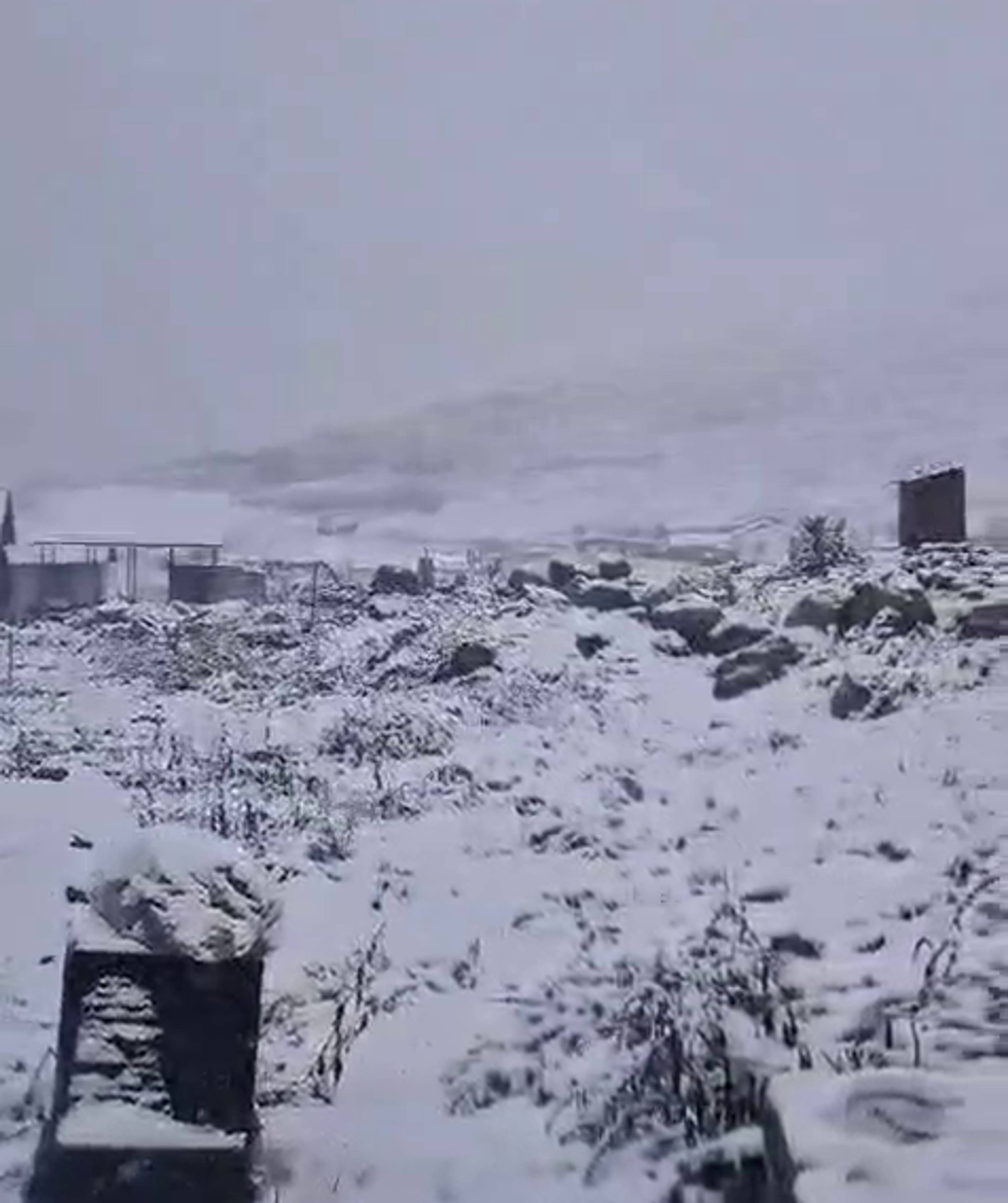 Breaking: उत्तराखंड में बर्फबारी के बीच फंसे 136 पर्वतारोही, हेलीकॉप्टर से एयर रेस्क्यू की तैयारी!