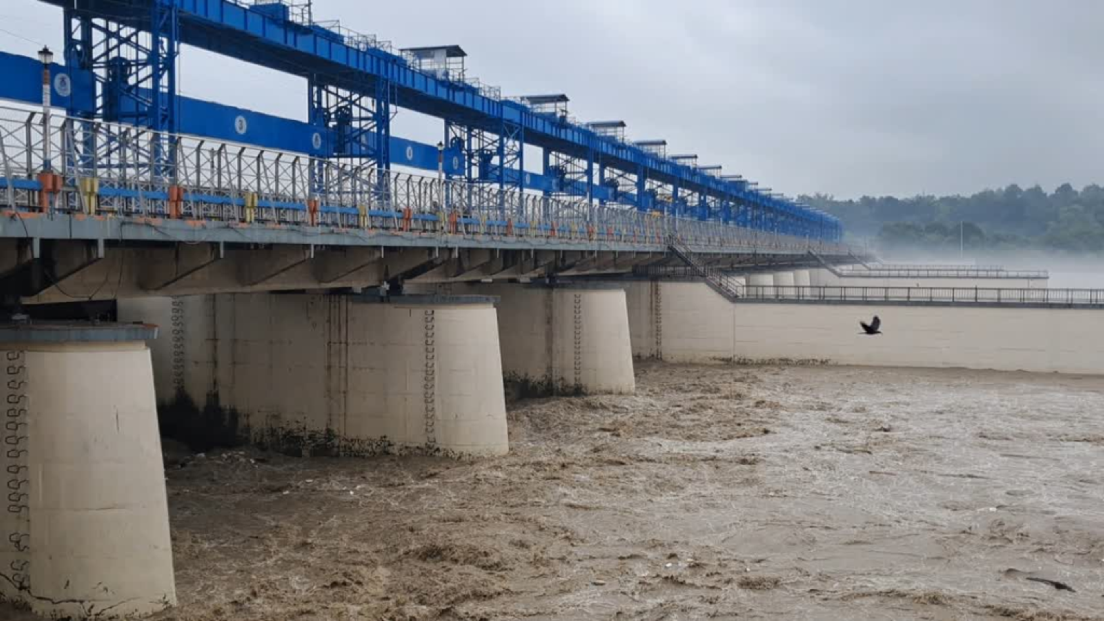 हरिद्वार में बारिश: चेतावनी स्तर पर पहुंची गंगा, जलभराव के बाद भी नहीं थमे कांवड़ियों के कदम; निचले इलाकों में अलर्ट जारी