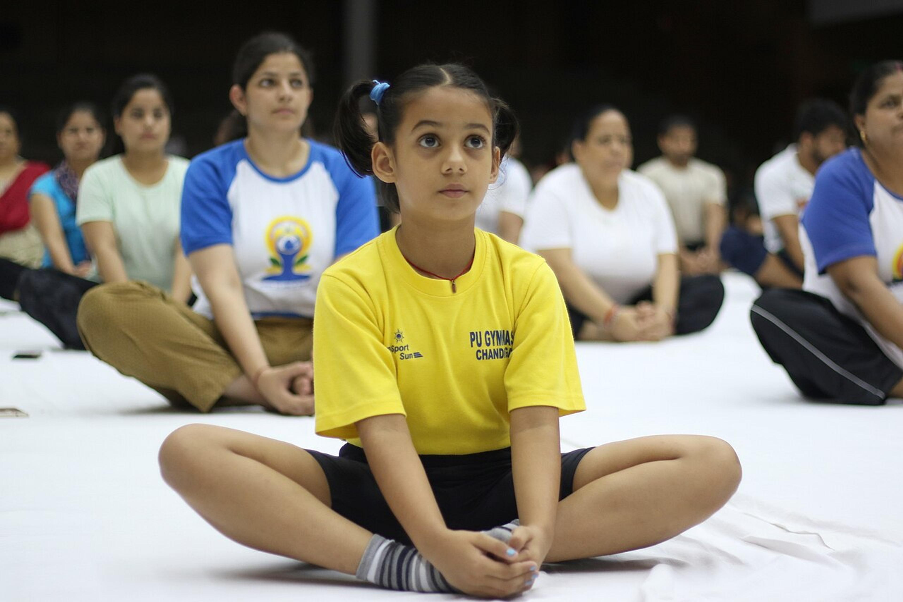 आयुर्वेद और योग में बढ़ा एआई का इस्तेमाल: 'योग सारथी' देगा सुझाव, 22 भाषाओं में मिलेंगी सेवाएं