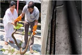 वंदे भारत एक्सप्रेस में घुसने की कोशिश कर रहा था 10 फीट लंबा अजगर: हरिद्वार रेलवे स्टेशन की वॉशिंग लाइन में मचा हड़कंप, वन विभाग ने किया रेस्क्यू