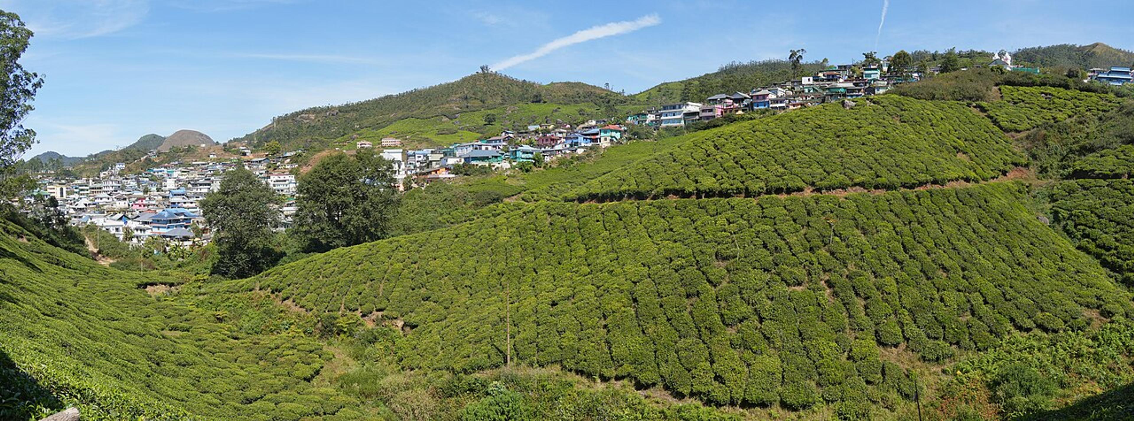 विश्व पर्यटन दिवस पर बनाइए घूमने की योजना, सितंबर के आखिरी हफ्ते में खिल उठते हैं ये ठिकाने