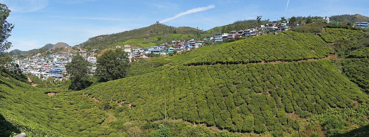 विश्व पर्यटन दिवस पर बनाइए घूमने की योजना, सितंबर के आखिरी हफ्ते में खिल उठते हैं ये ठिकाने
