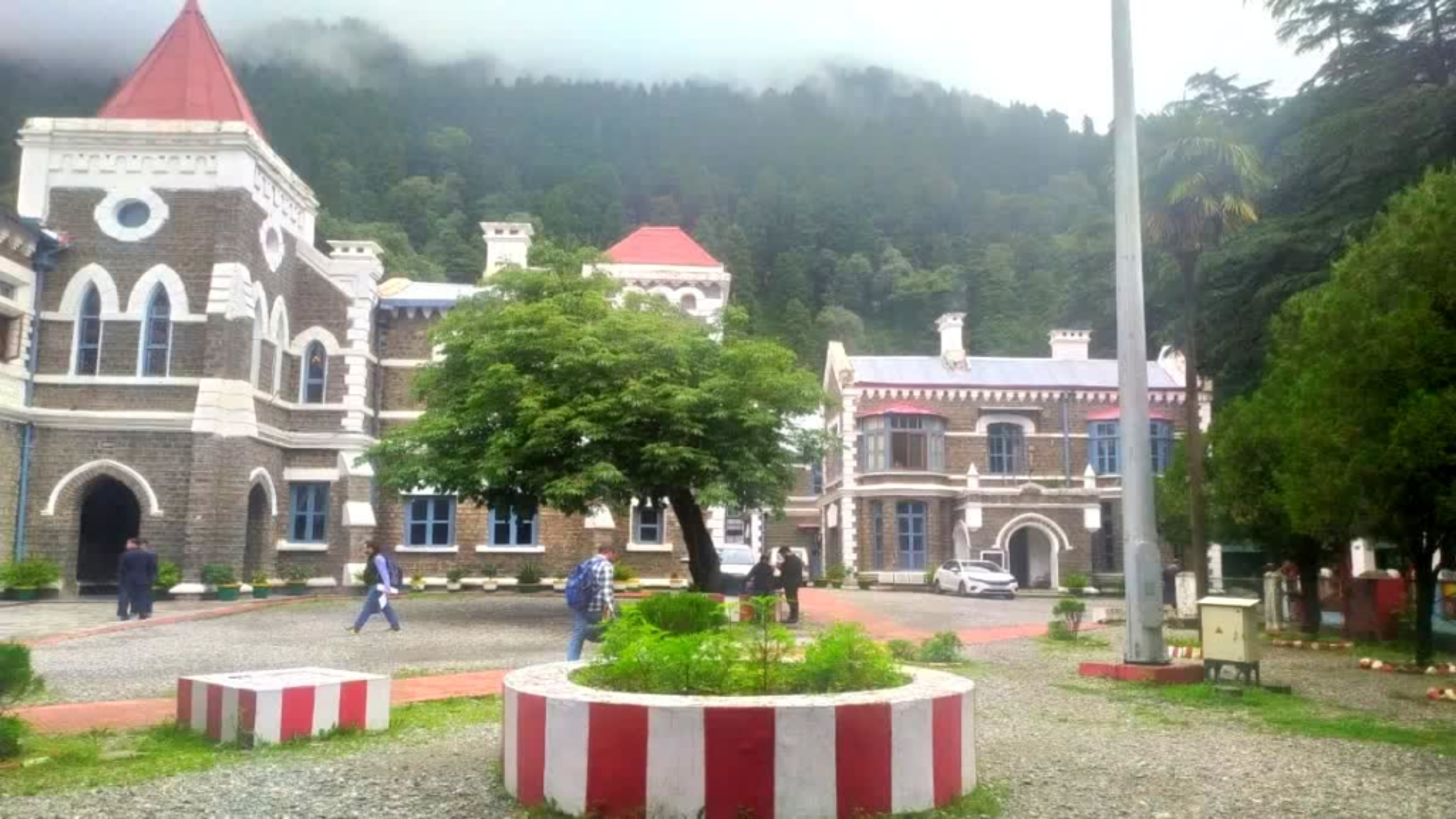 नैनीताल हाईकोर्ट की सख्त रुख: देहरादून में 7 हजार पेड़ काटने के मामले में केंद्र और उत्तराखंड सरकार को नोटिस
