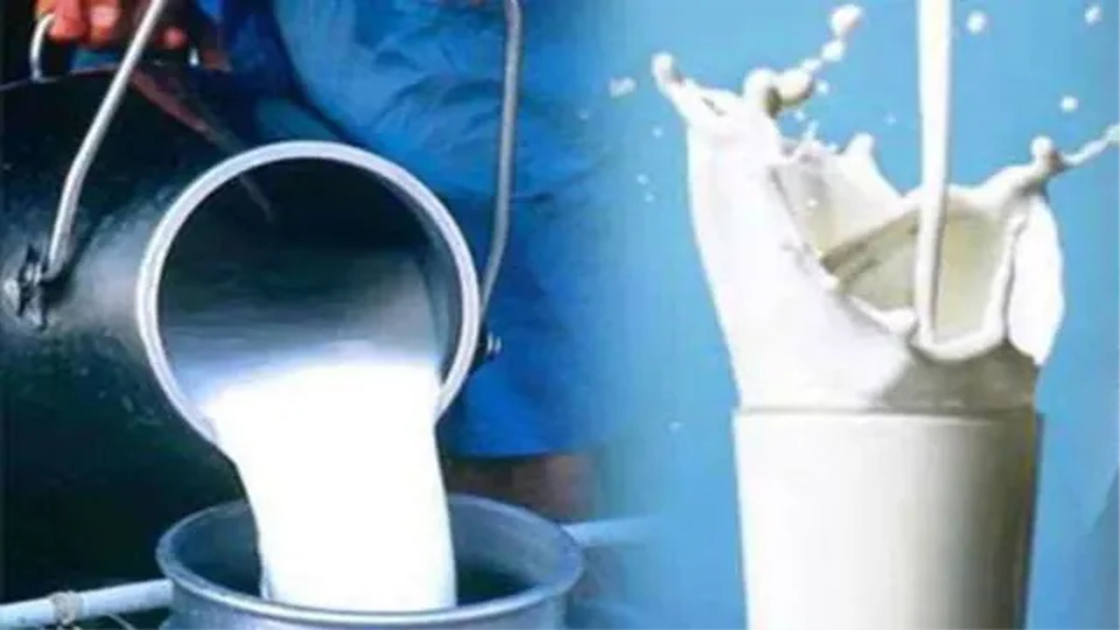 हल्द्वानी में पांच कंपनियों का दूध मानकों पर फेल, फैट और SNF कम मिलने पर विभाग ने बताया अवमानक