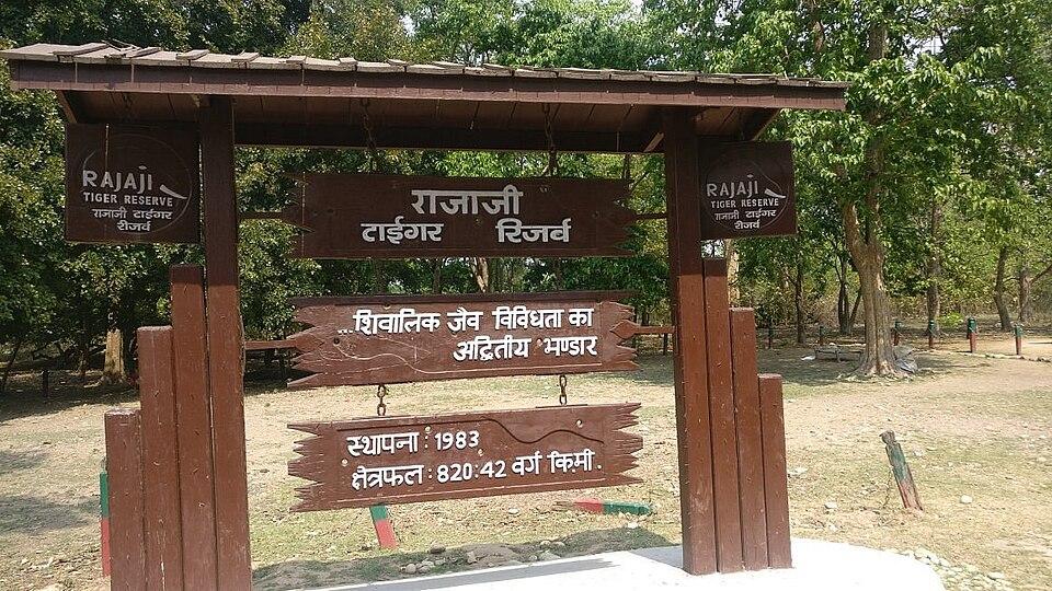राजाजी टाइगर रिजर्व में जल्द शुरू होगी पूरे दिन की सफारी, सूर्योदय से सूर्यास्त तक कर सकेंगे जंगल का दीदार