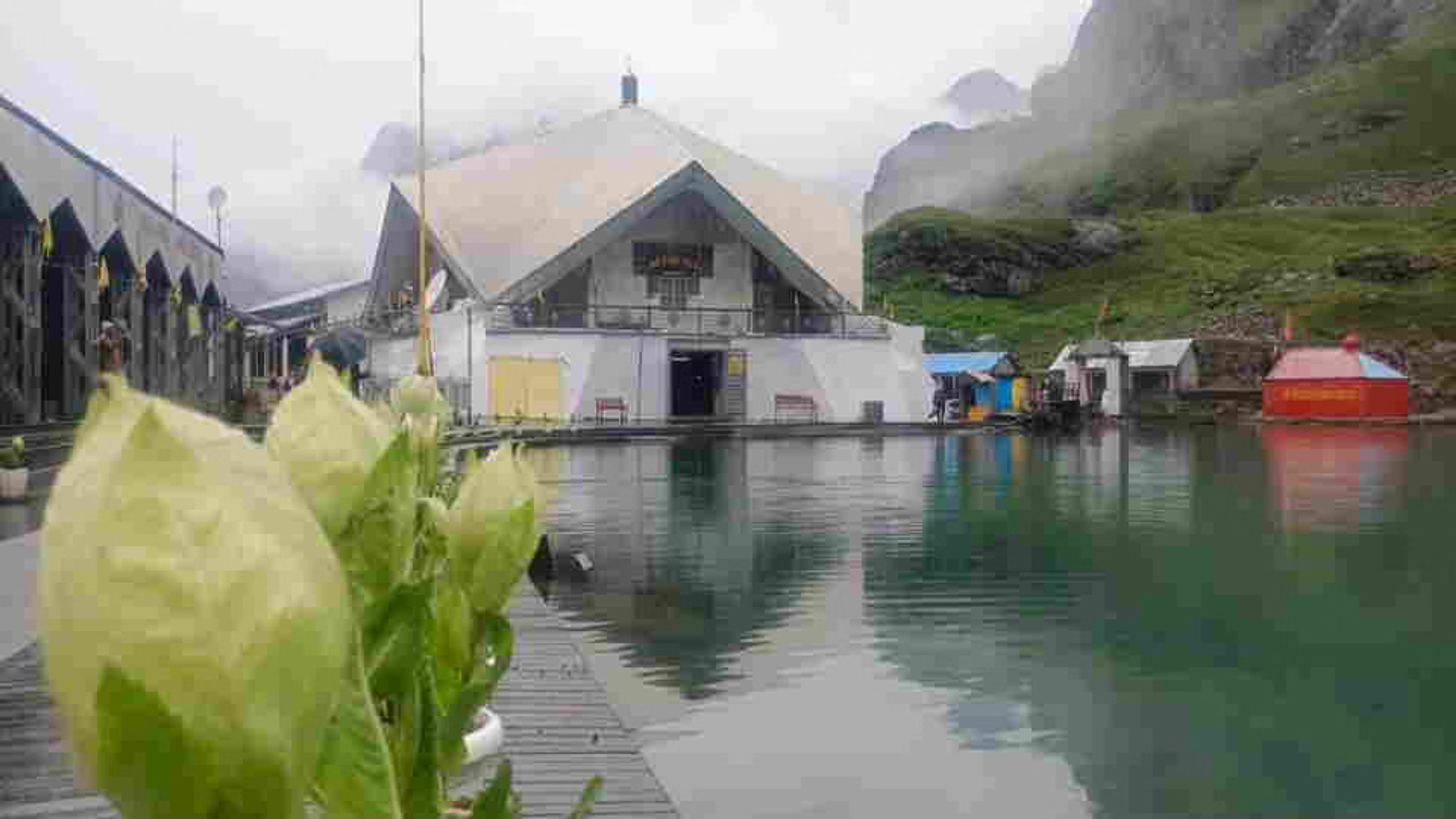 हेमकुंड साहिब के कपाट बंद होने की तारीख तय: 10 अक्टूबर को बंद होंगे द्वार; अब तक रिकॉर्ड 2.38 लाख संगत ने टेका मत्था, घाटी में खिले ब्रह्मकमल
