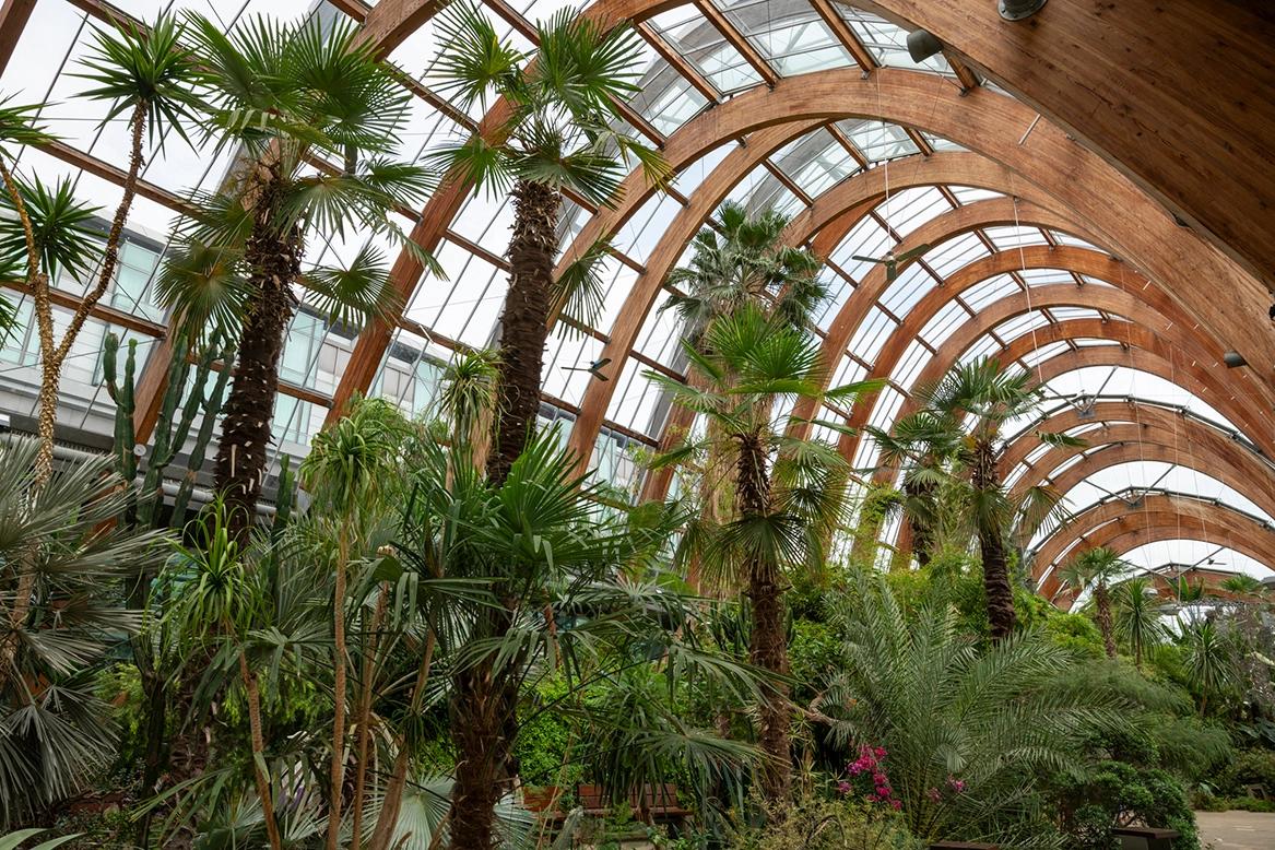 Living Material: Inside the World of Jardin Botanica
