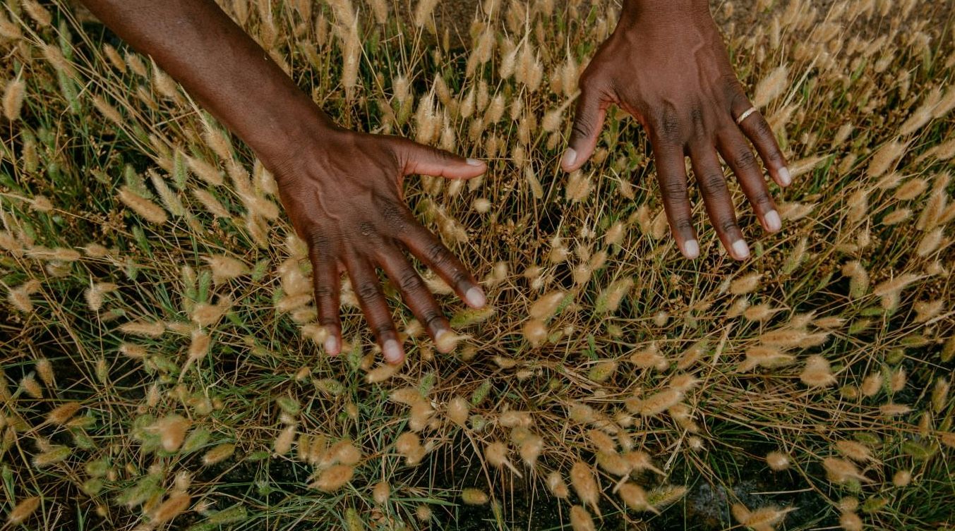 Jardin Botanica Hand Care Ritual