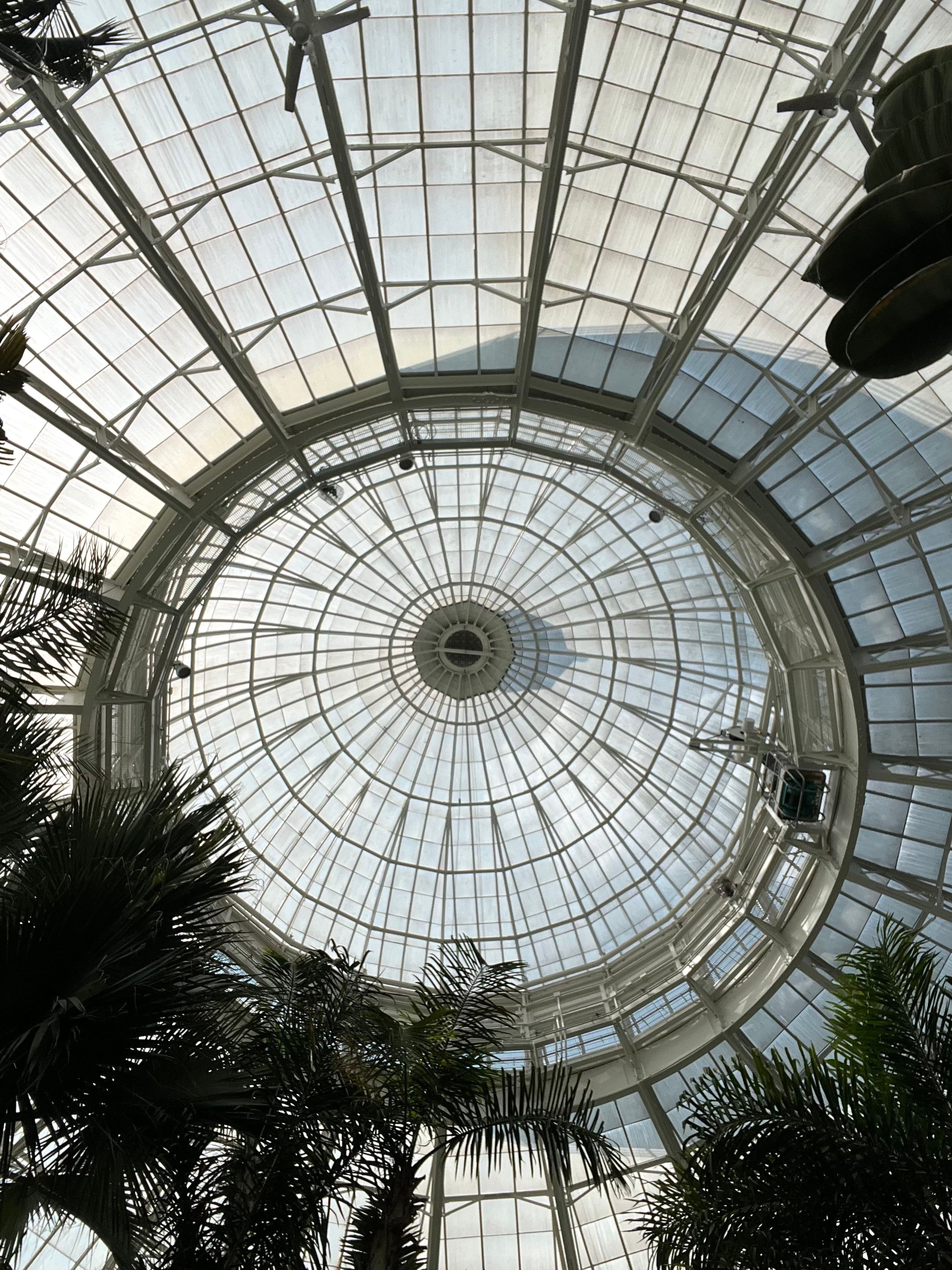 Botanical glass greenhouse with palm fronds