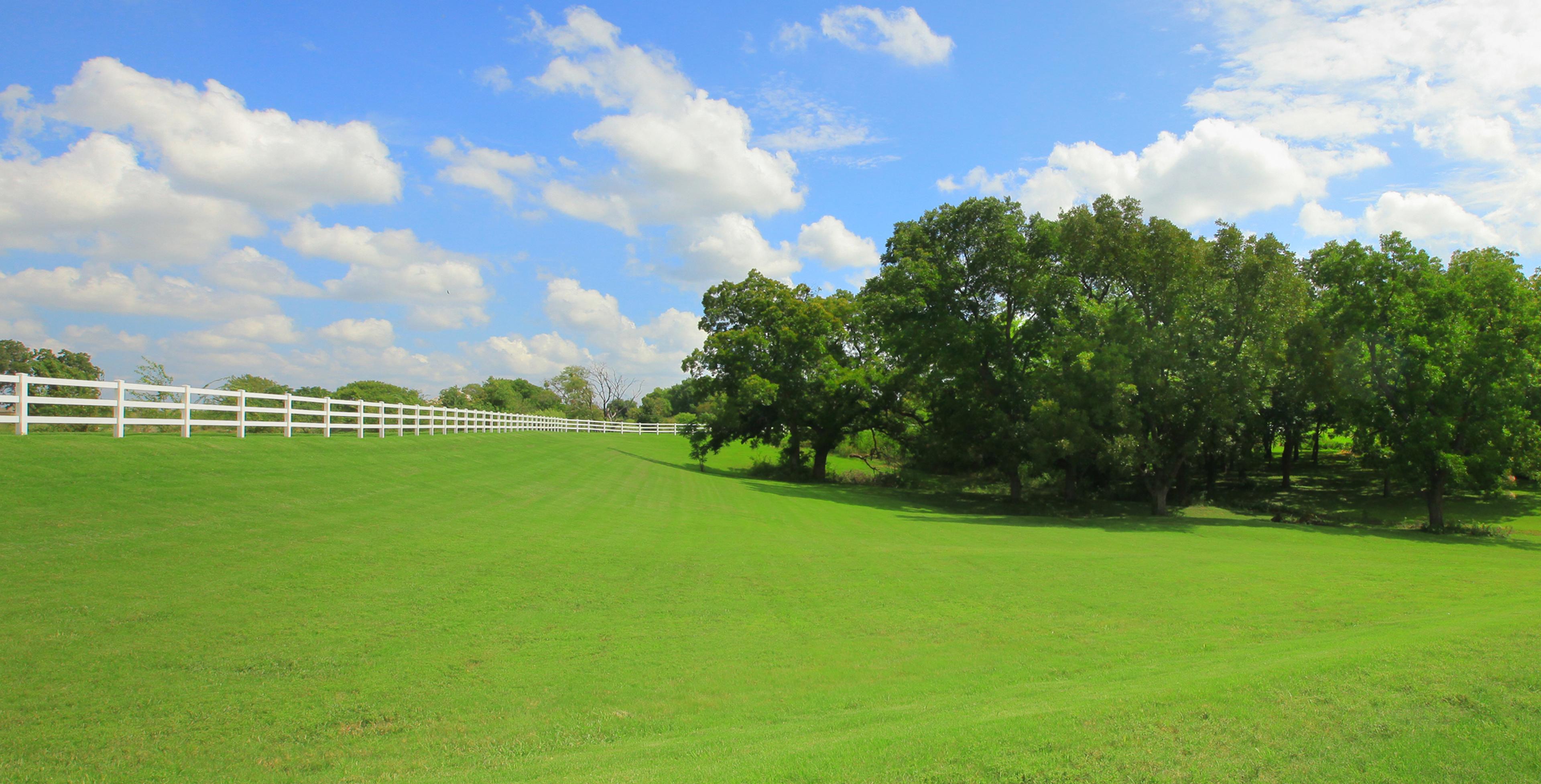 Open land at Clements Ranch