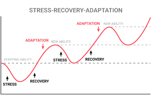 Stress Recovery Adaptation