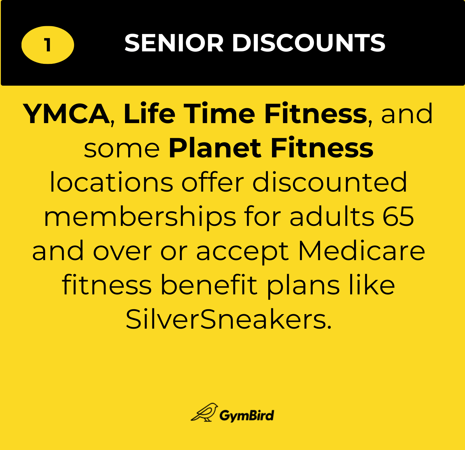 Best Gyms for Seniors 2024 6 Gyms That Redefine Aging GymBird