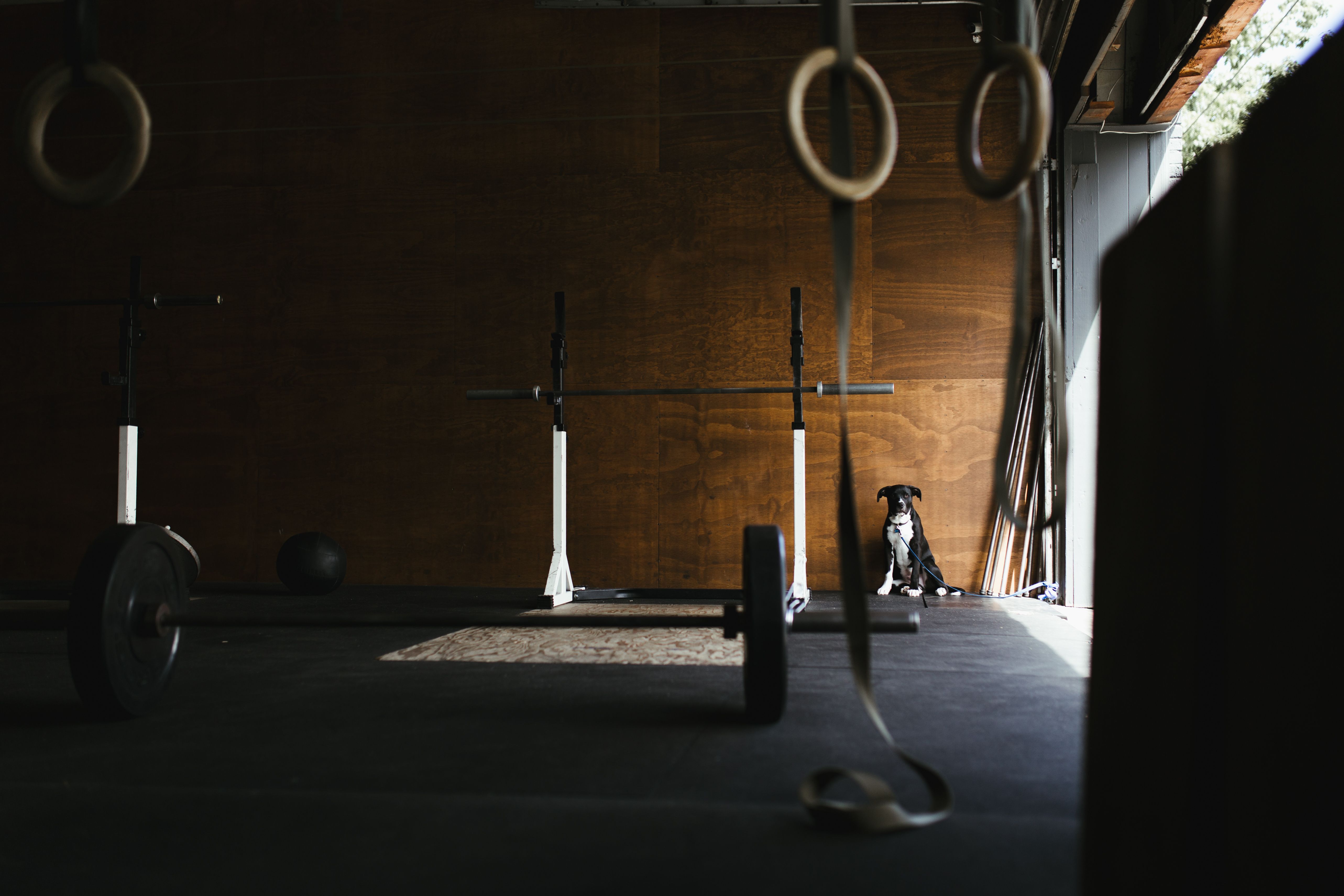 Powerlifting best sale home gym