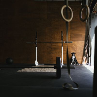 Building the Ultimate Powerlifting Home Gym: A Comprehensive Guide