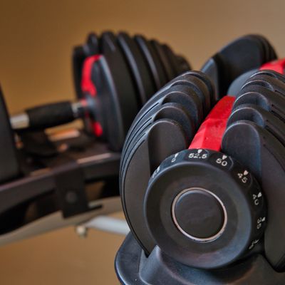 The Best Adjustable Dumbbells For Every Goal