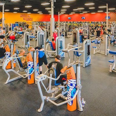 Best Gym Memberships 2024: Top-Rated Gyms for Every Goal