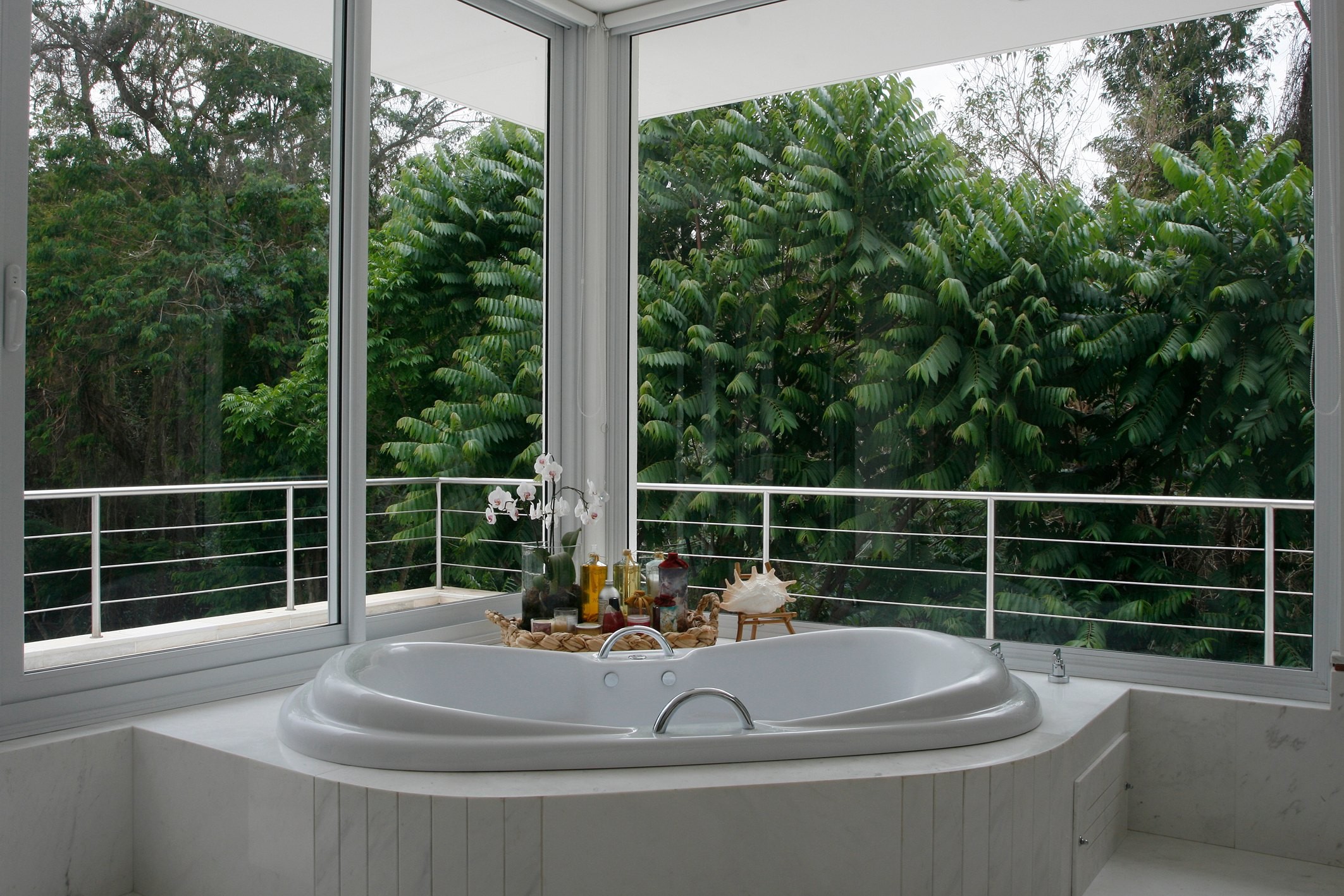 Residência APM — Banheira com vista para o jardim