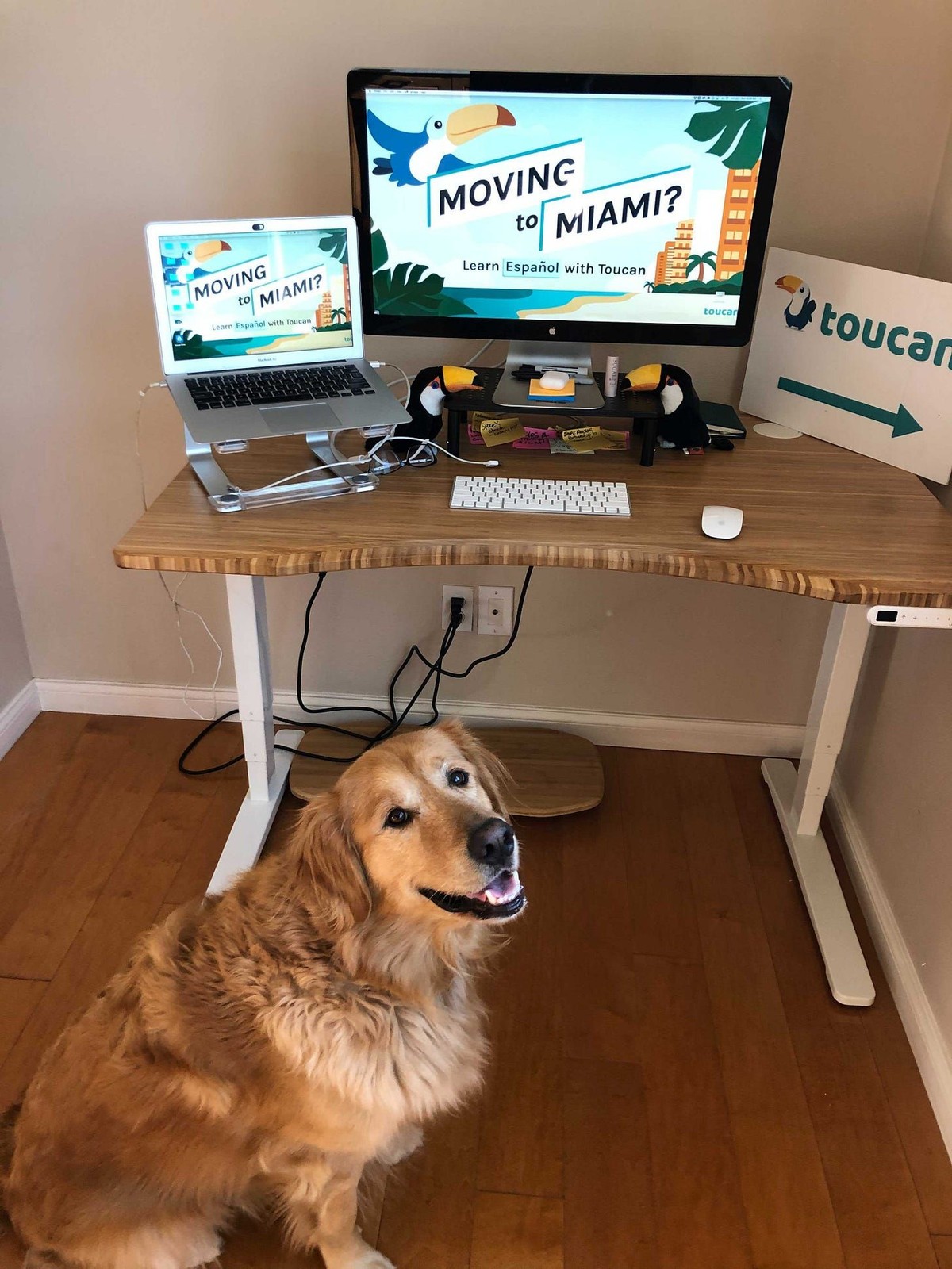 Taylor Nieman's workspace