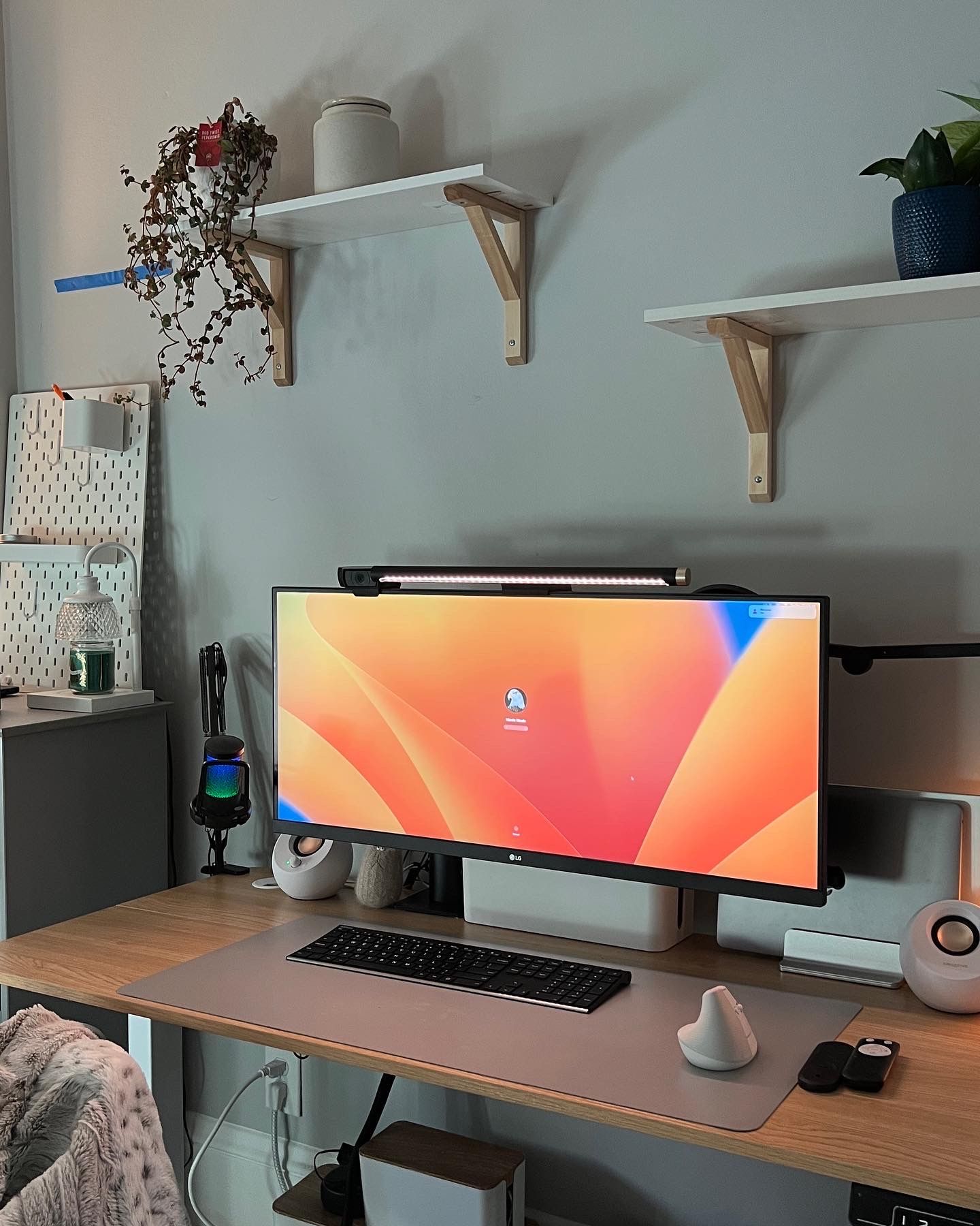 Nicole Franq's workspace