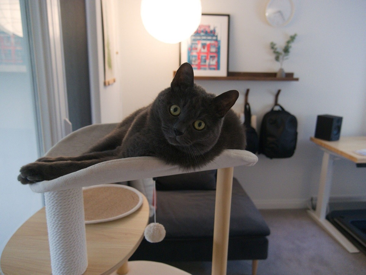 Katie Langerman's workspace — photo 8